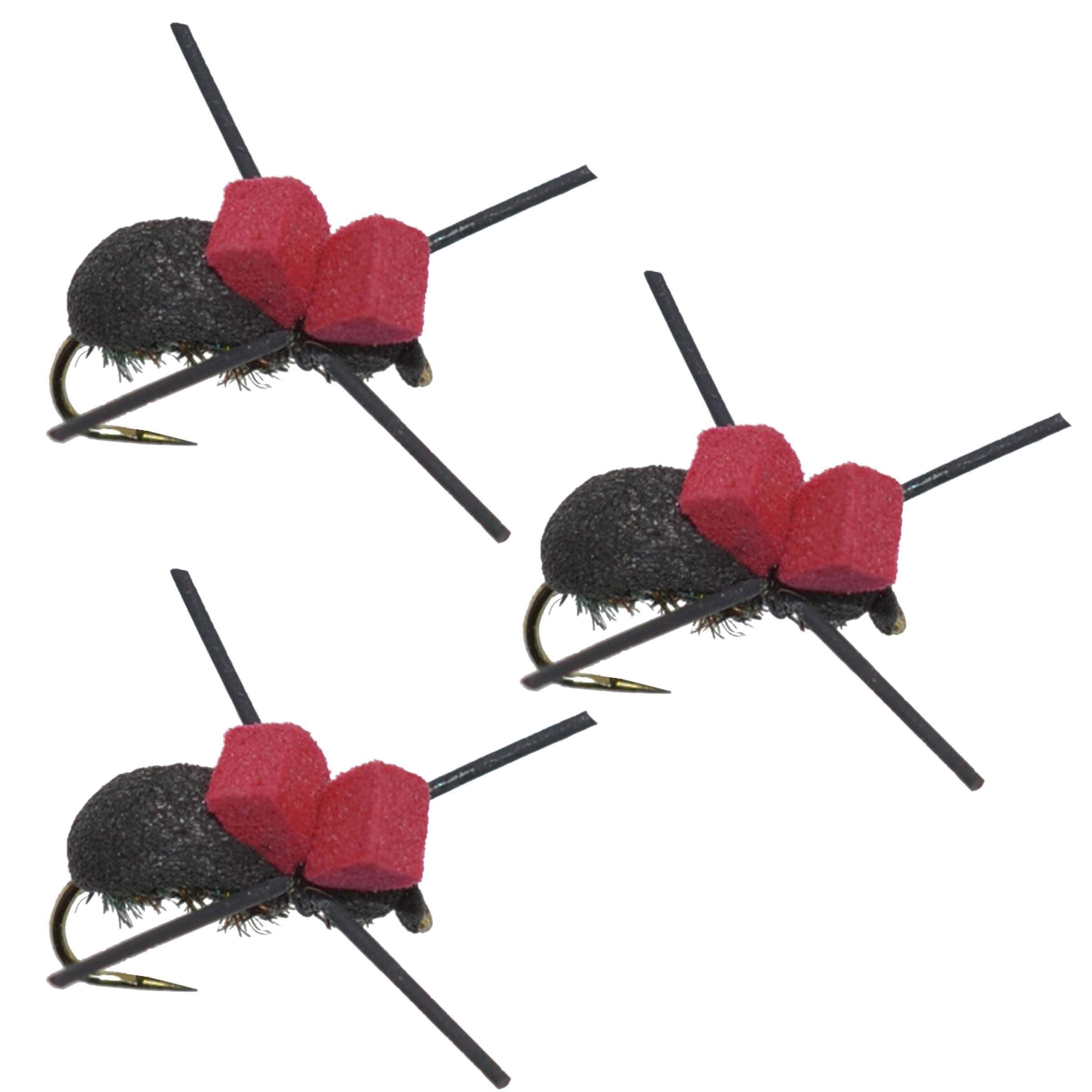 The Fly Fishing Place Trout Dry Flies 3 Pack Barbless Red Top Black Foam Beetle Terrestrial Trout Dry Fly Fishing Flies - Hook Size 14