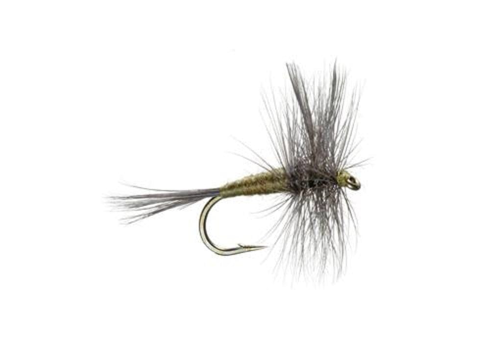 The Fly Fishing Place Trout Dry Flies 3 Pack Blue Wing Olive BWO Classic Dry Fly - Hook Size 16