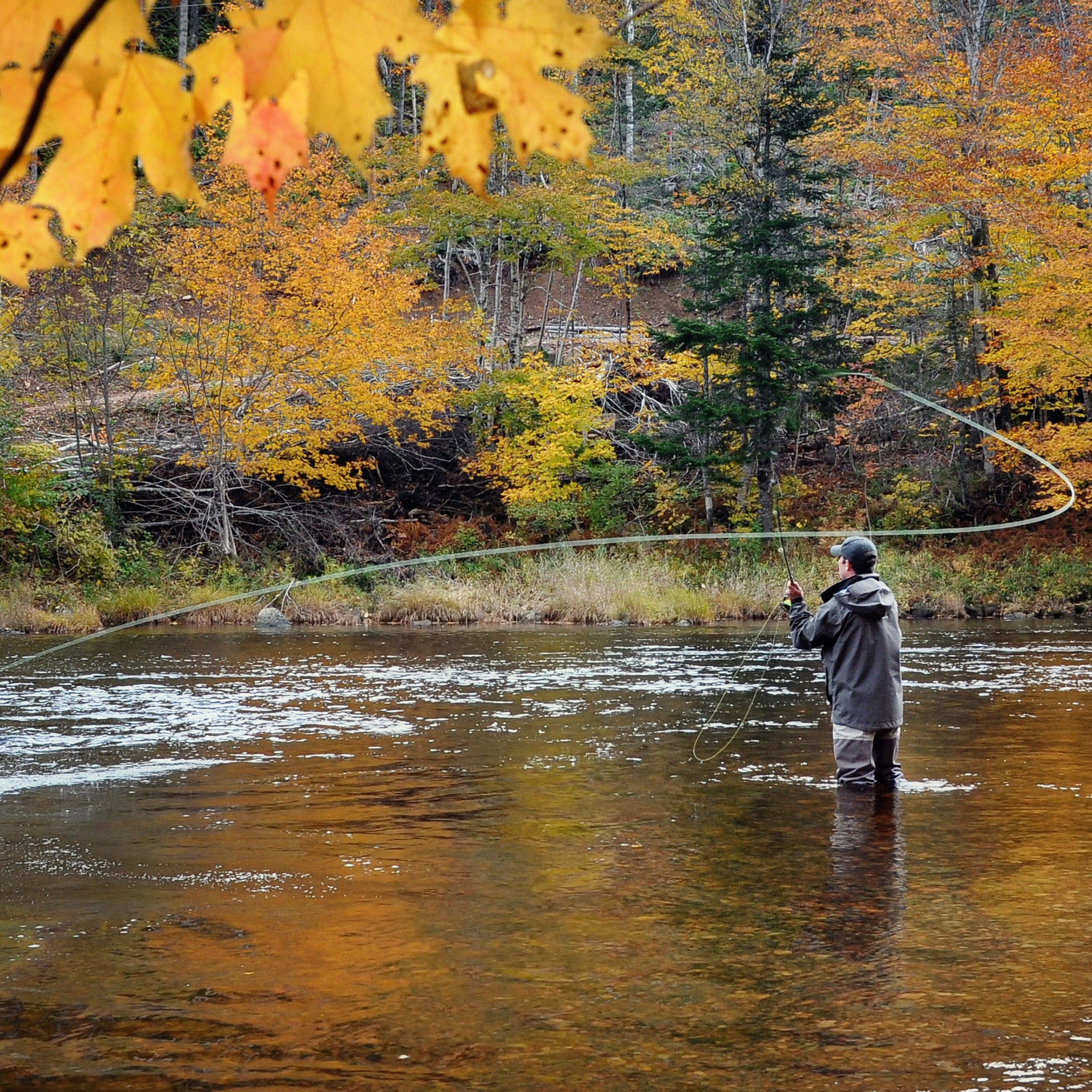 The Fly Fishing Place Trout Dry Flies 3 Pack Blue Wing Olive BWO Classic Dry Fly - Hook Size 20