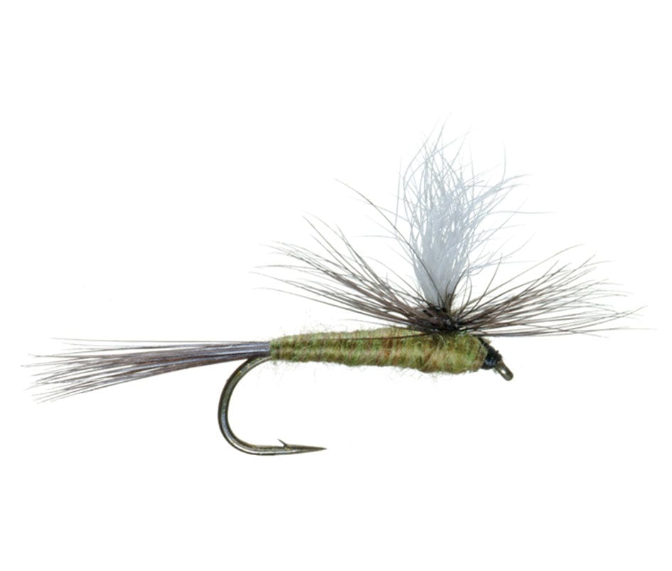 The Fly Fishing Place Trout Dry Flies 3 Pack Blue Wing Olive BWO Parachute Dry Fly - Hook Size 18