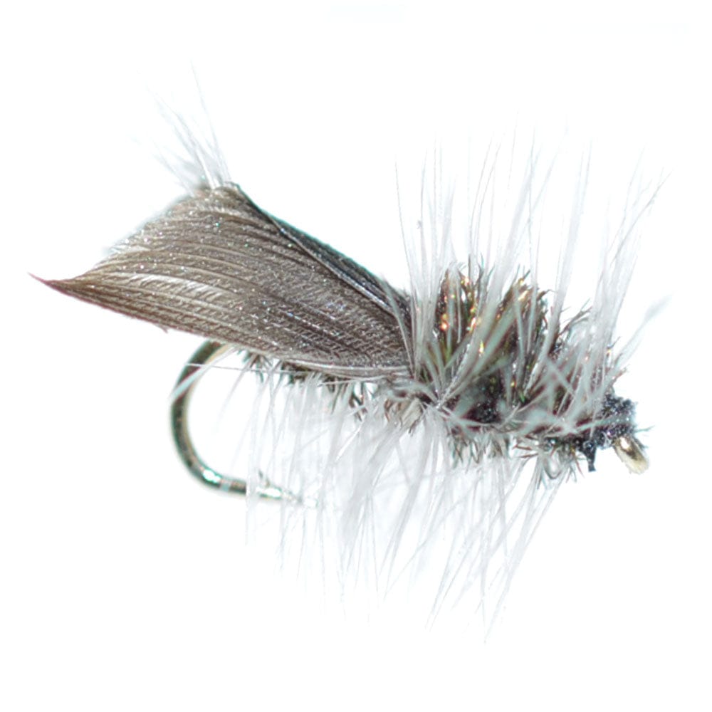 The Fly Fishing Place Trout Dry Flies 3 Pack Hemingway Caddis Dry Fly - Hook Size 18