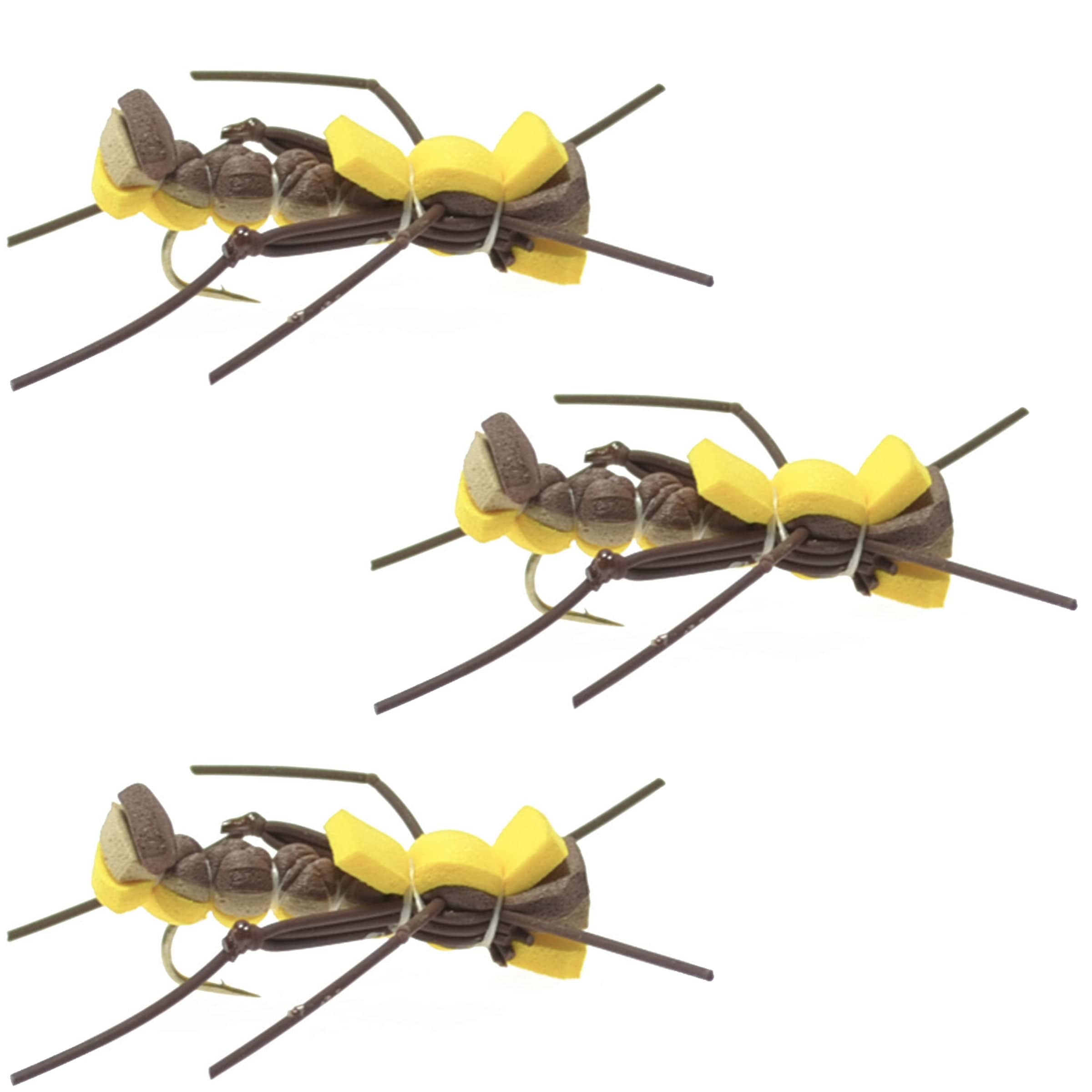 The Fly Fishing Place Trout Dry Flies 3 Pack Mantis BLT Foam Body Grasshopper Fly - Hook Size 10