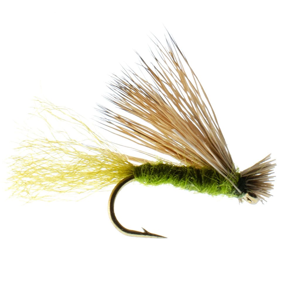 The Fly Fishing Place Trout Dry Flies 3 Pack Olive X Caddis Emerging Caddis Adult Trout Dry Fly - Hook Size 18