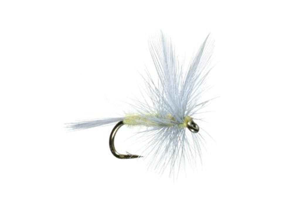 The Fly Fishing Place Trout Dry Flies 3 Pack Pale Morning Dun PMD Classic Dry Fly - Hook Size 14
