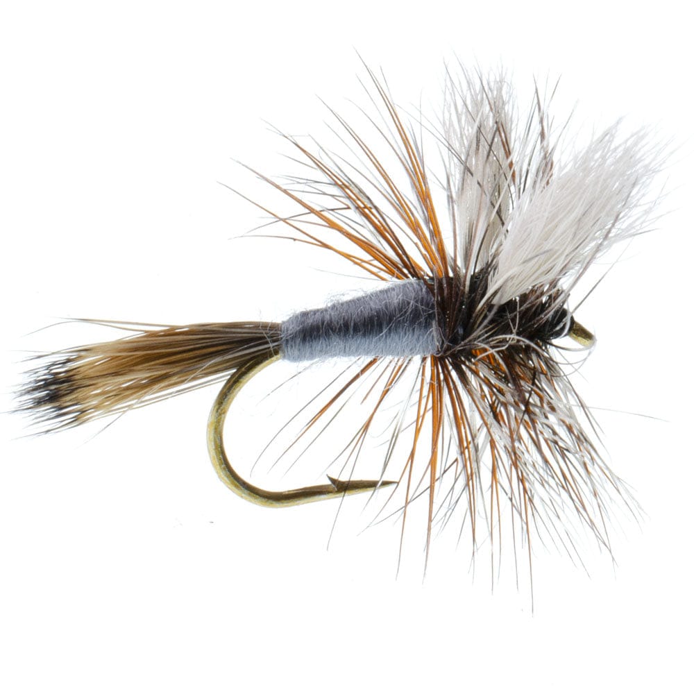 The Fly Fishing Place Trout Dry Flies Adams Wulff Classic Dry Fly - 6 Flies - Hook Size 14
