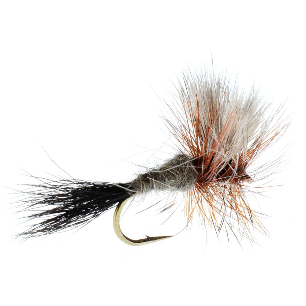 The Fly Fishing Place Trout Dry Flies Ausable Wulff Classic Dry Fly 1 Dozen Flies  Hook Size 14