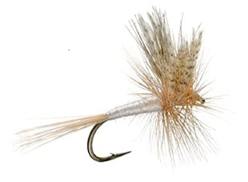 The Fly Fishing Place Trout Dry Flies Barbless Light Cahill Classic Trout Dry Fly Fishing Flies - Set of 6 Flies Size 14