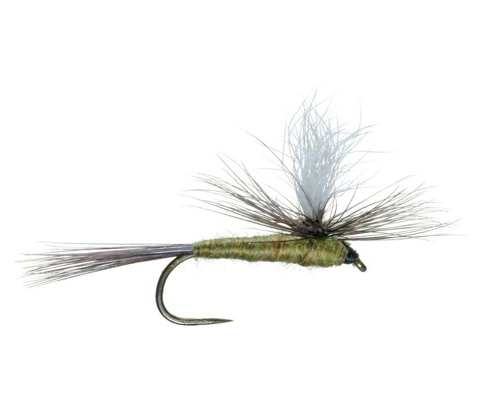 The Fly Fishing Place Trout Dry Flies Barbless Parachute Blue Winged Olive BWO Classic Trout Dry Fly Fishing Flies - Set of 6 Flies Size 18
