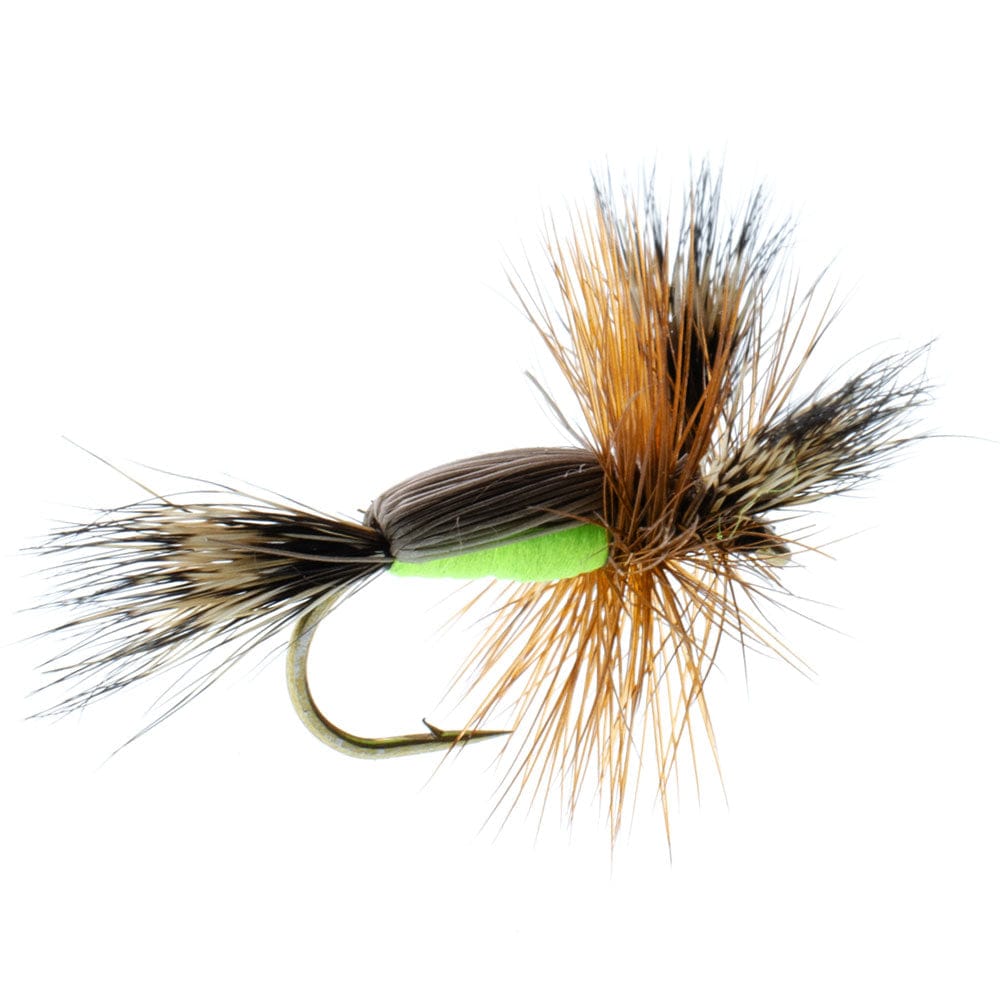 The Fly Fishing Place Trout Dry Flies Chartreuse Humpy Classic Hair Wing Dry Fly - 1 Dozen Flies Hook Size 14