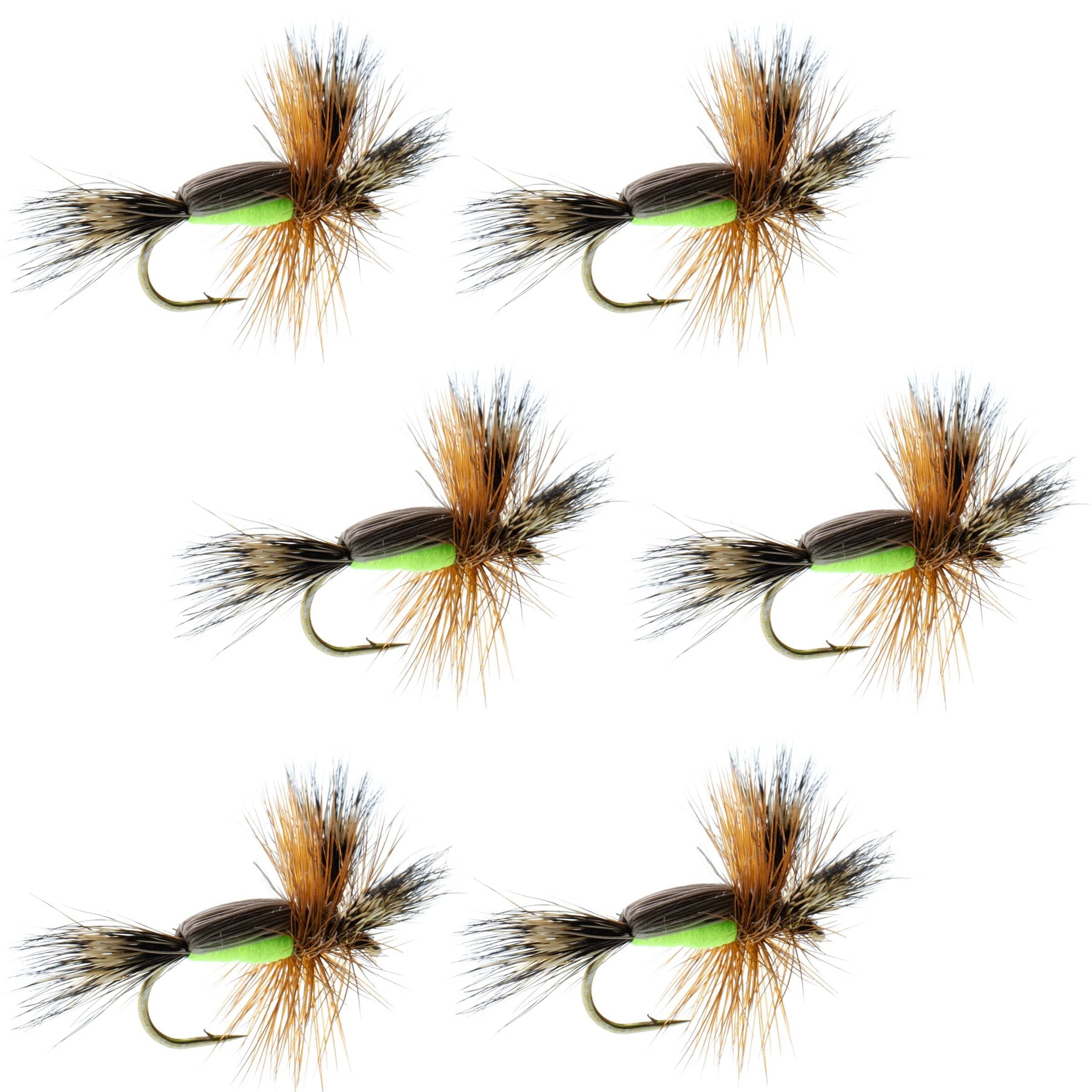 The Fly Fishing Place Trout Dry Flies Chartreuse Humpy Classic Hair Wing Dry Fly - 6 Flies Hook Size 12