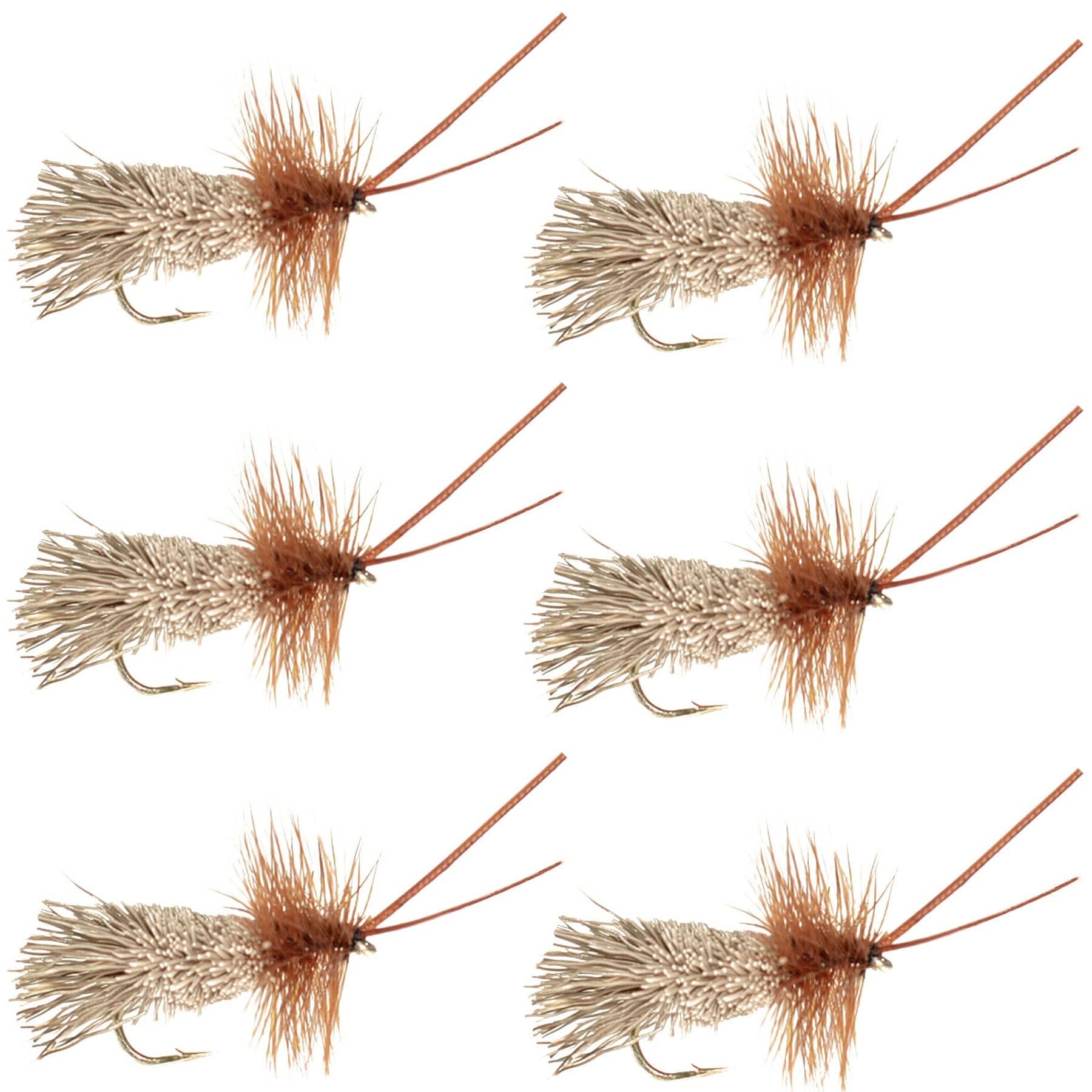 The Fly Fishing Place Trout Dry Flies Goddard Caddis Dry Fly - 6 Flies Hook Size 12
