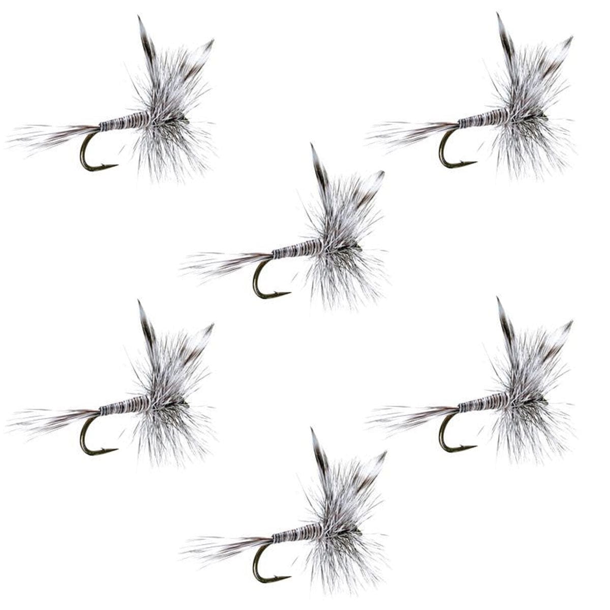 The Fly Fishing Place Trout Dry Flies Mosquito Classic Trout Dry Fly Fishing Flies - Set of 6 Flies Size 12