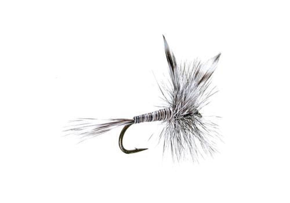 The Fly Fishing Place Trout Dry Flies Mosquito Classic Trout Dry Fly Fishing Flies - Set of 6 Flies Size 14