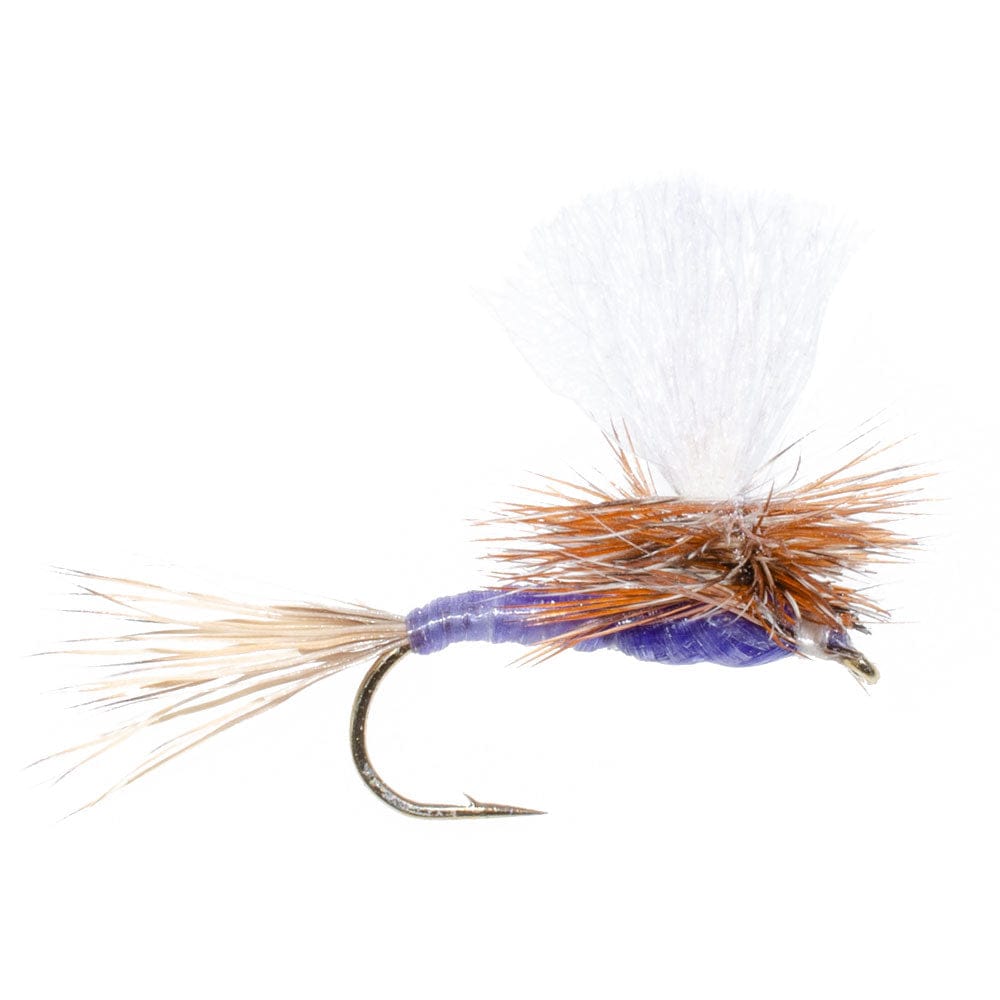 The Fly Fishing Place Trout Dry Flies Parachute Purple Haze Dry Fly - 6 Flies Size 16