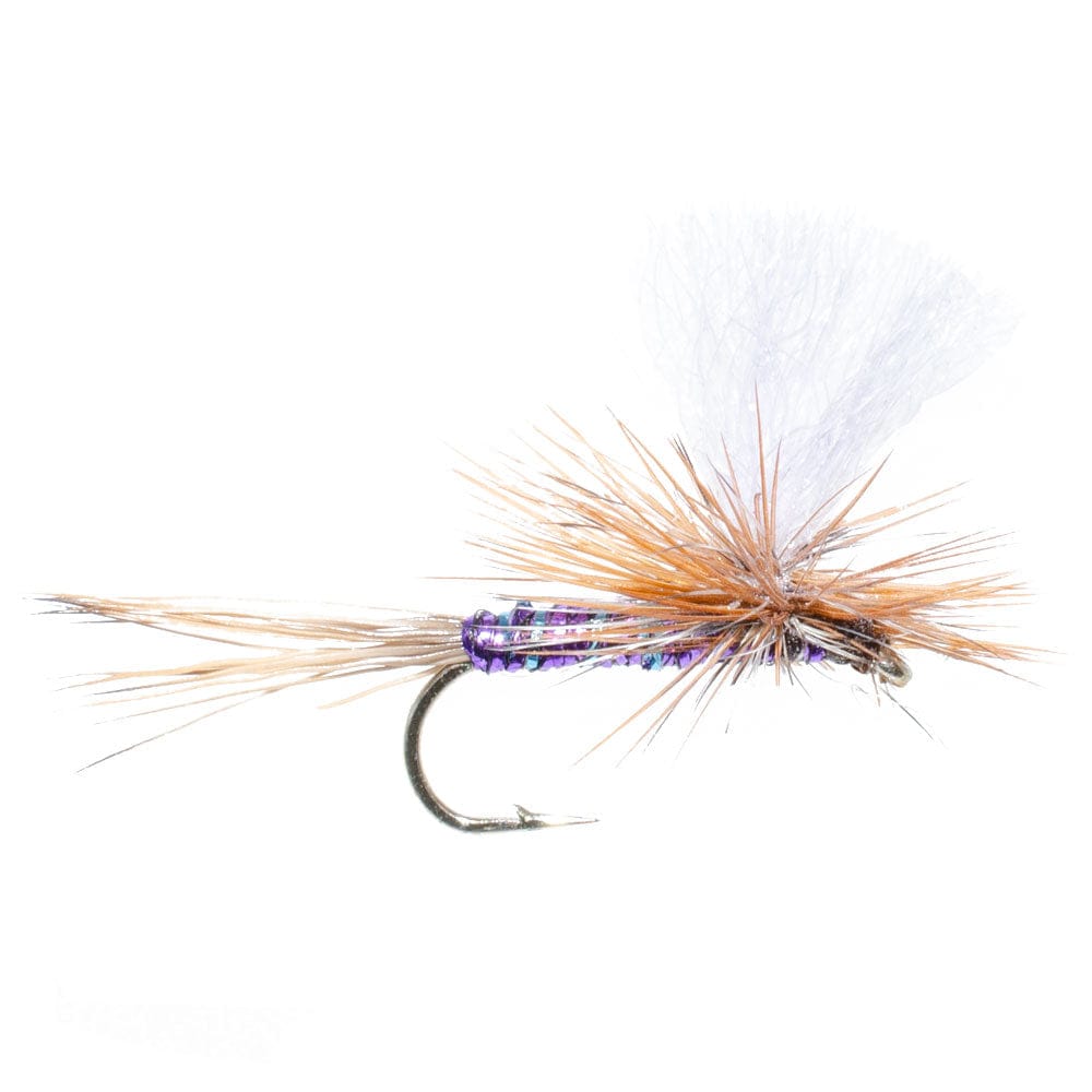The Fly Fishing Place Trout Dry Flies Parachute Super Flash Purple Haze Dry Fly - 12 Flies Size 18
