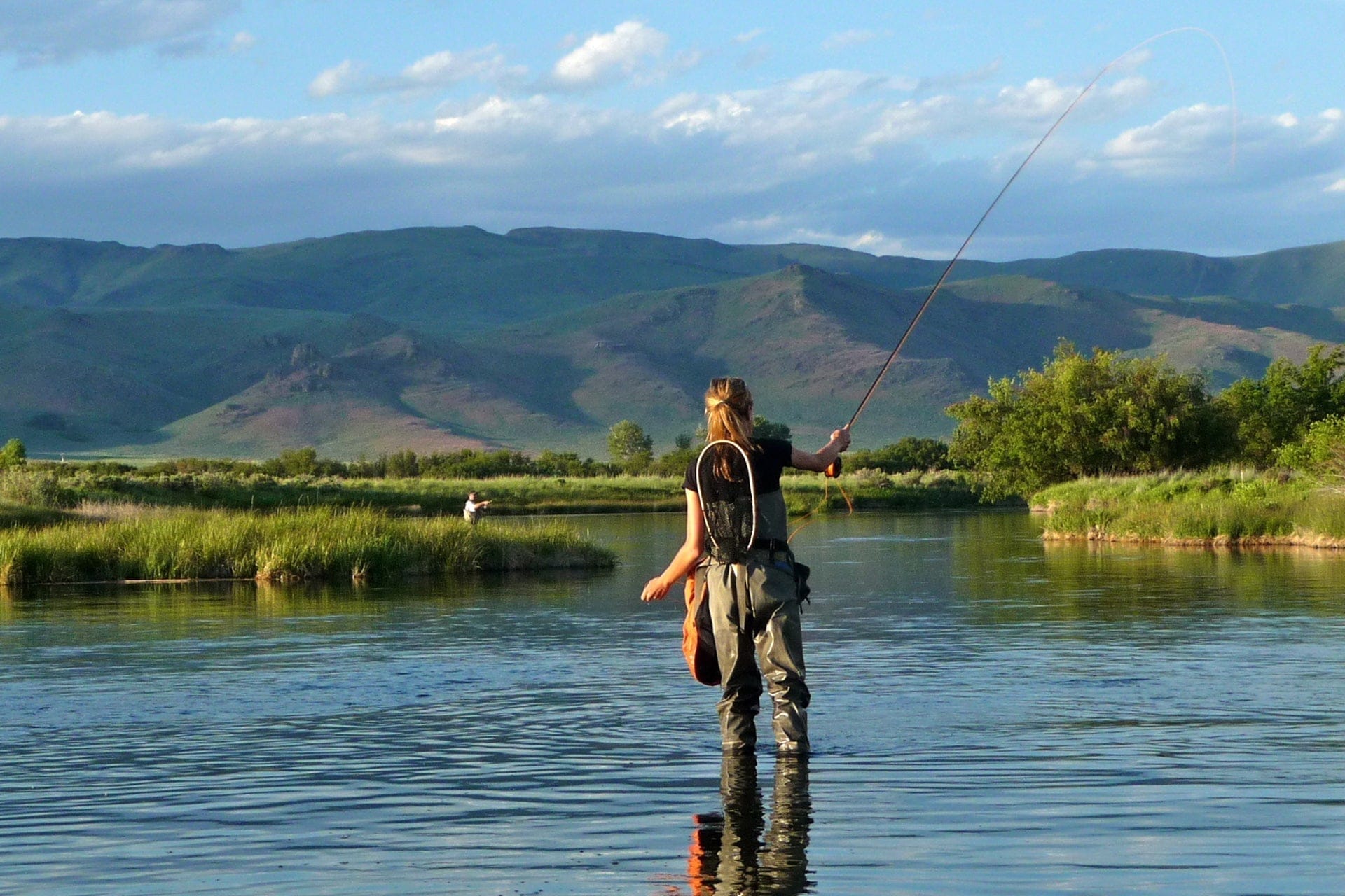 The Fly Fishing Place Trout Dry Flies Parachute Super Flash Purple Haze Dry Fly - 12 Flies Size 18