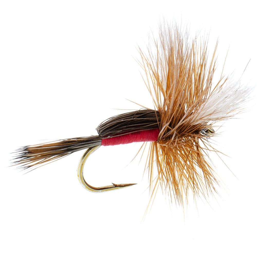 The Fly Fishing Place Trout Dry Flies Royal Humpy Classic Hair Wing Dry Fly - 6 Flies Hook Size 14