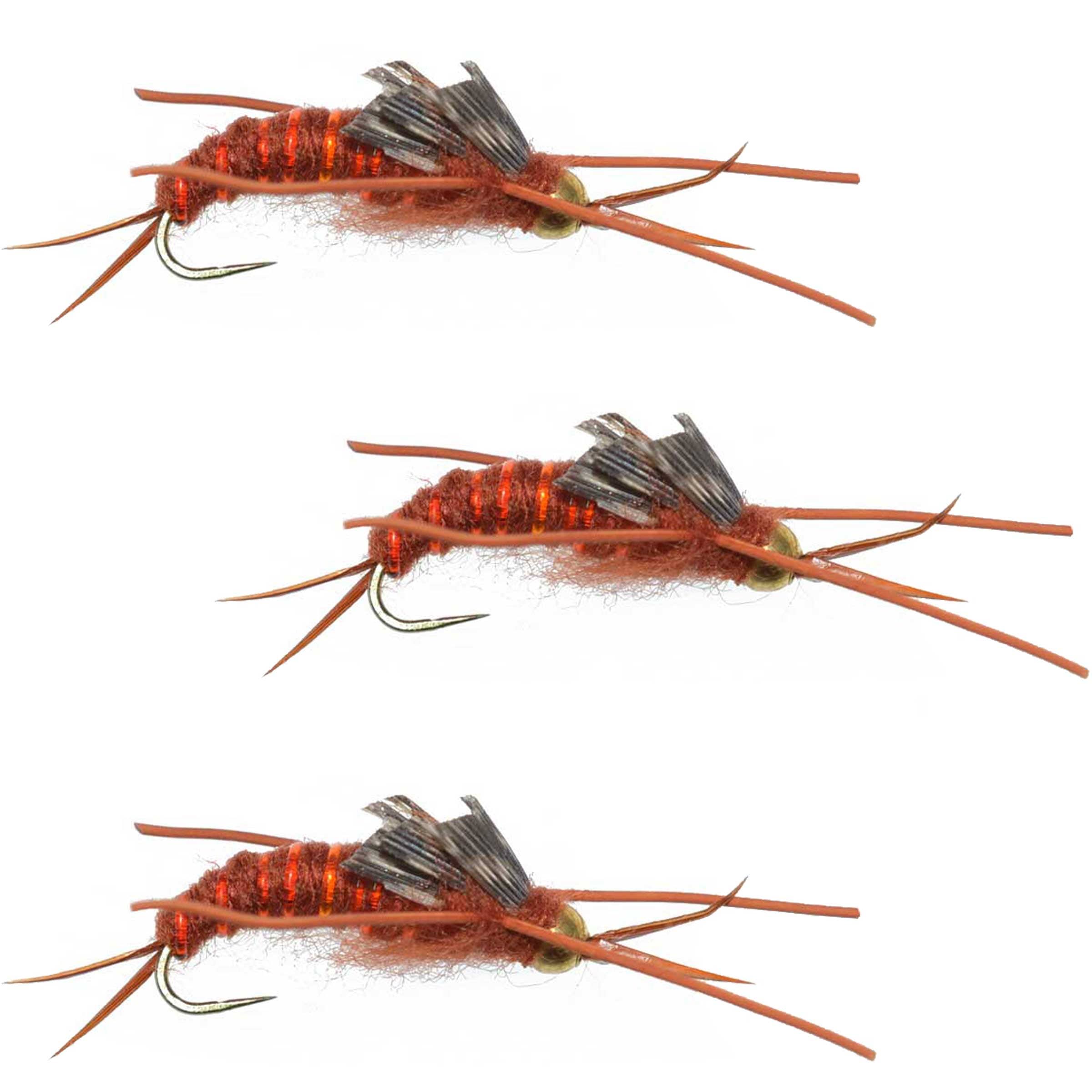 The Fly Fishing Place Trout Wet Flies 3 Pack Barbless Gold Bead Kaufmann's Brown Stone Fly with Rubber Legs - Stonefly Wet Fly - Hook Size 10