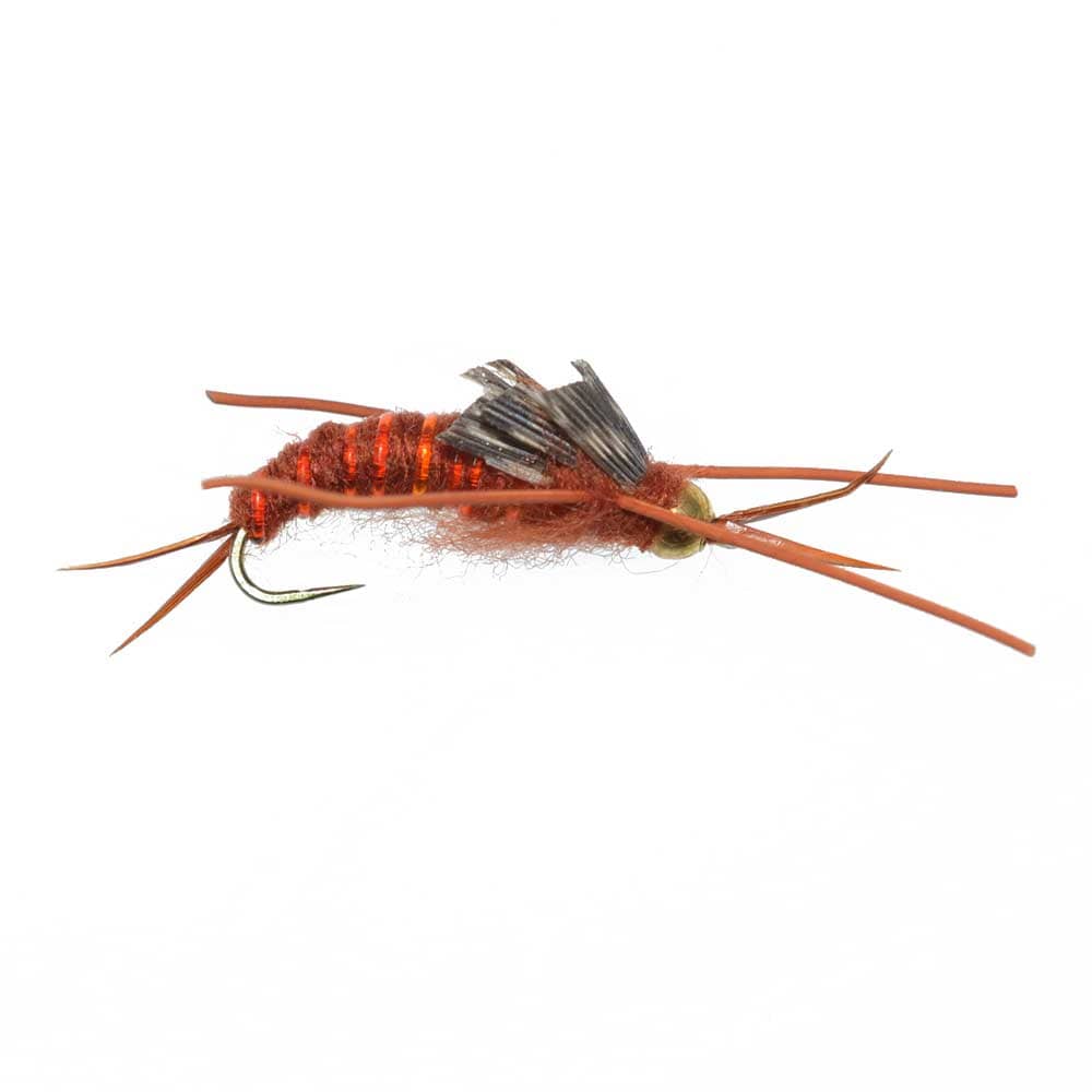 The Fly Fishing Place Trout Wet Flies 3 Pack Barbless Gold Bead Kaufmann's Brown Stone Fly with Rubber Legs - Stonefly Wet Fly - Hook Size 10