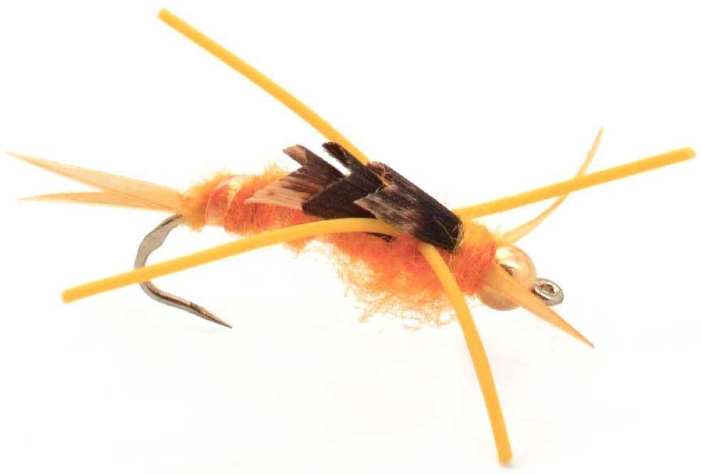 The Fly Fishing Place Trout Wet Flies 3 Pack Barbless Gold Bead Kaufmann's Golden Stone Fly with Rubber Legs - Stonefly Wet Fly - Hook Size 10