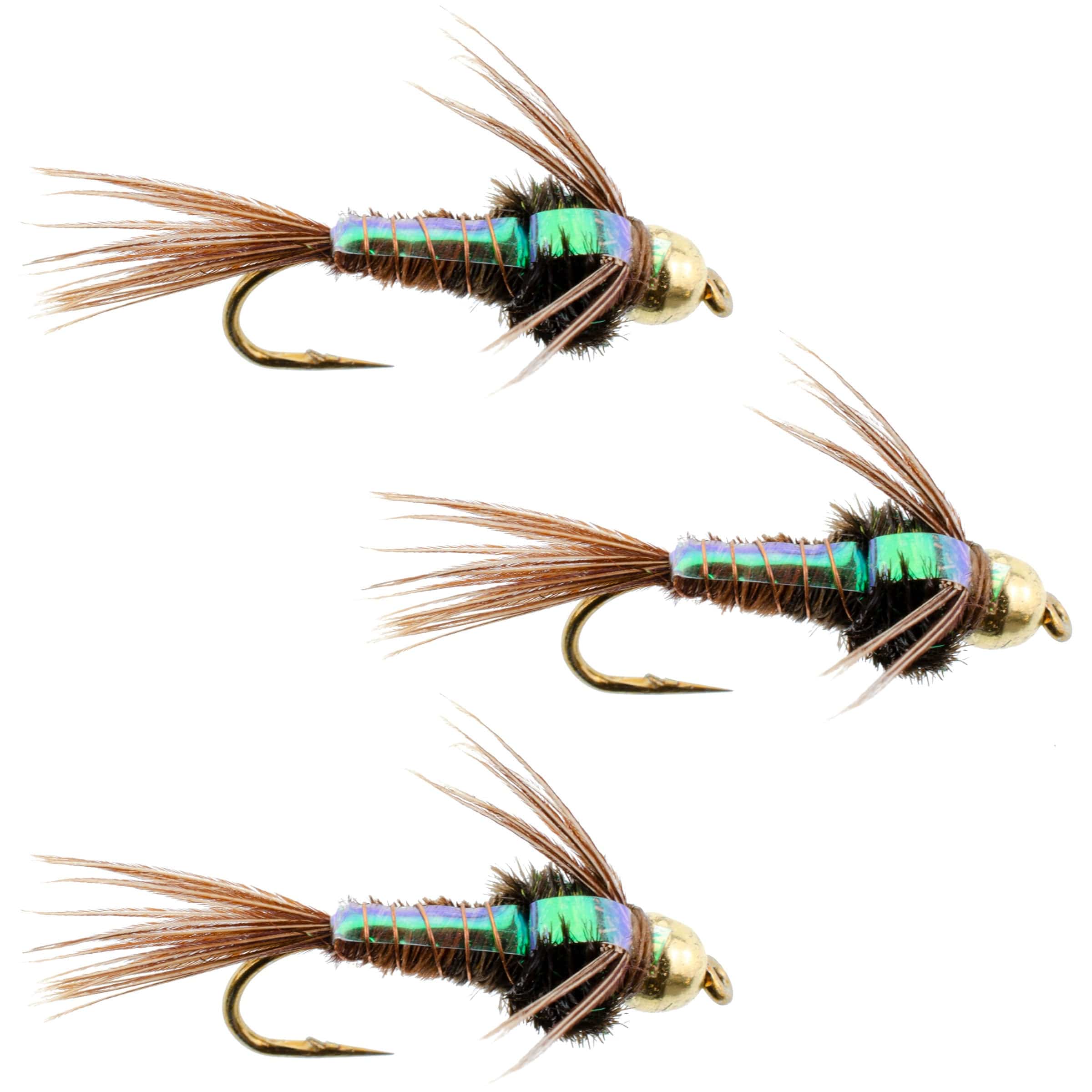 The Fly Fishing Place Trout Wet Flies 3 Pack Bead Head Flashback Pheasant Tail Nymph Fly Fishing Flies Hook Size 14