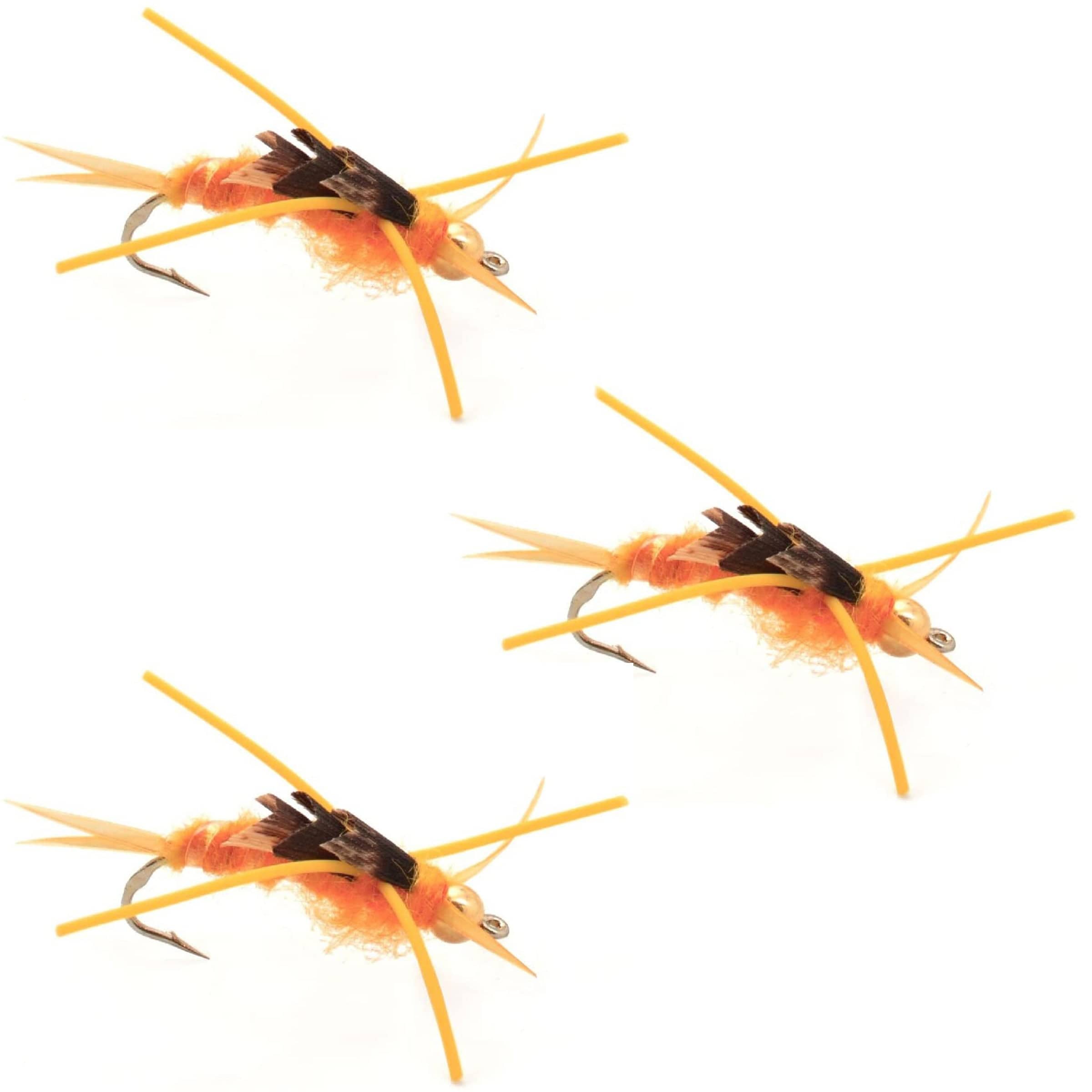The Fly Fishing Place Trout Wet Flies 3 Pack Gold Bead Kaufmann's Golden Stone Fly with Rubber Legs - Stonefly Wet Fly - Hook Size 10