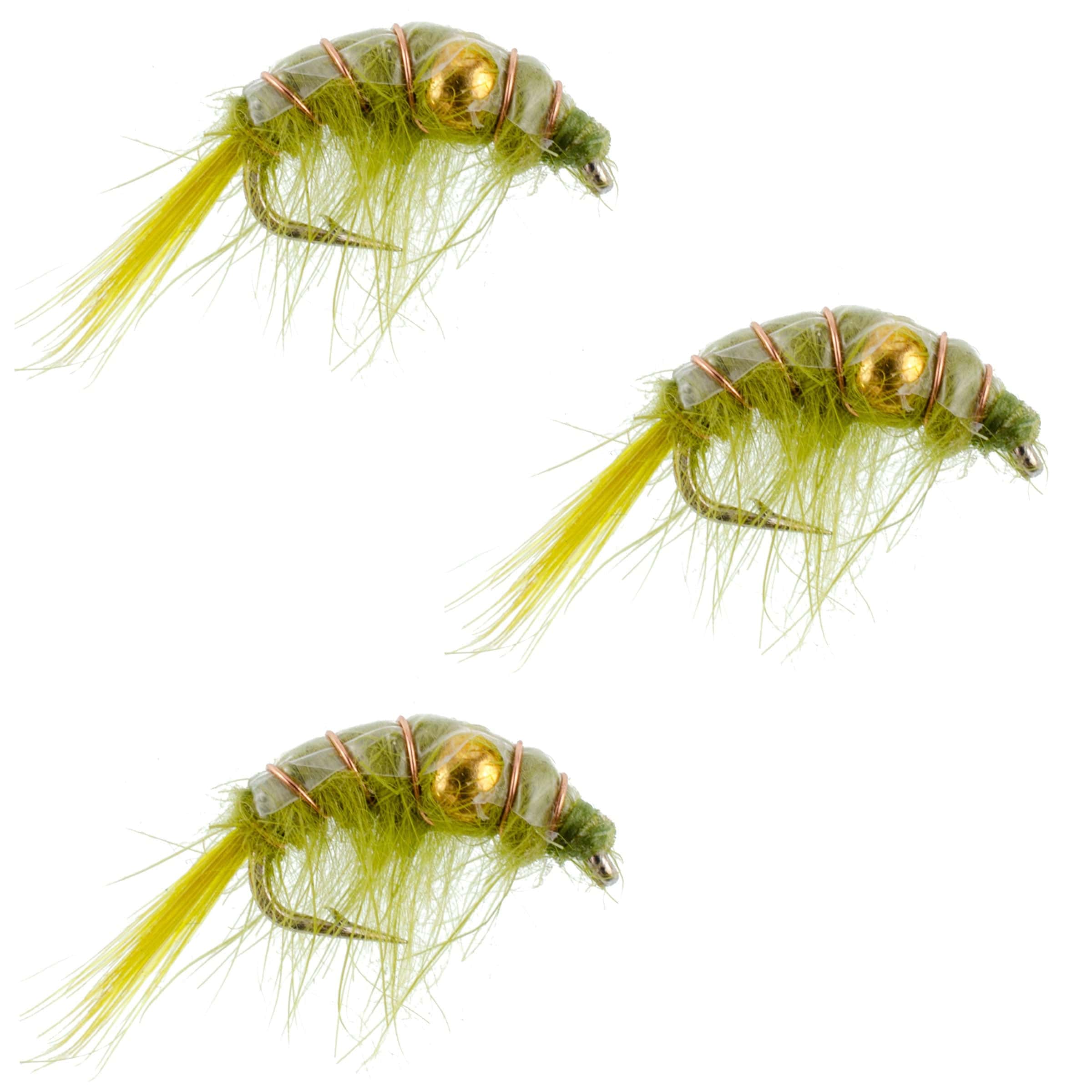 The Fly Fishing Place Trout Wet Flies 3 Pack Olive Beaded Shrimp Scud Pattern - Size 12 - Tailwater Lake Fly Fishing Nymph Flies