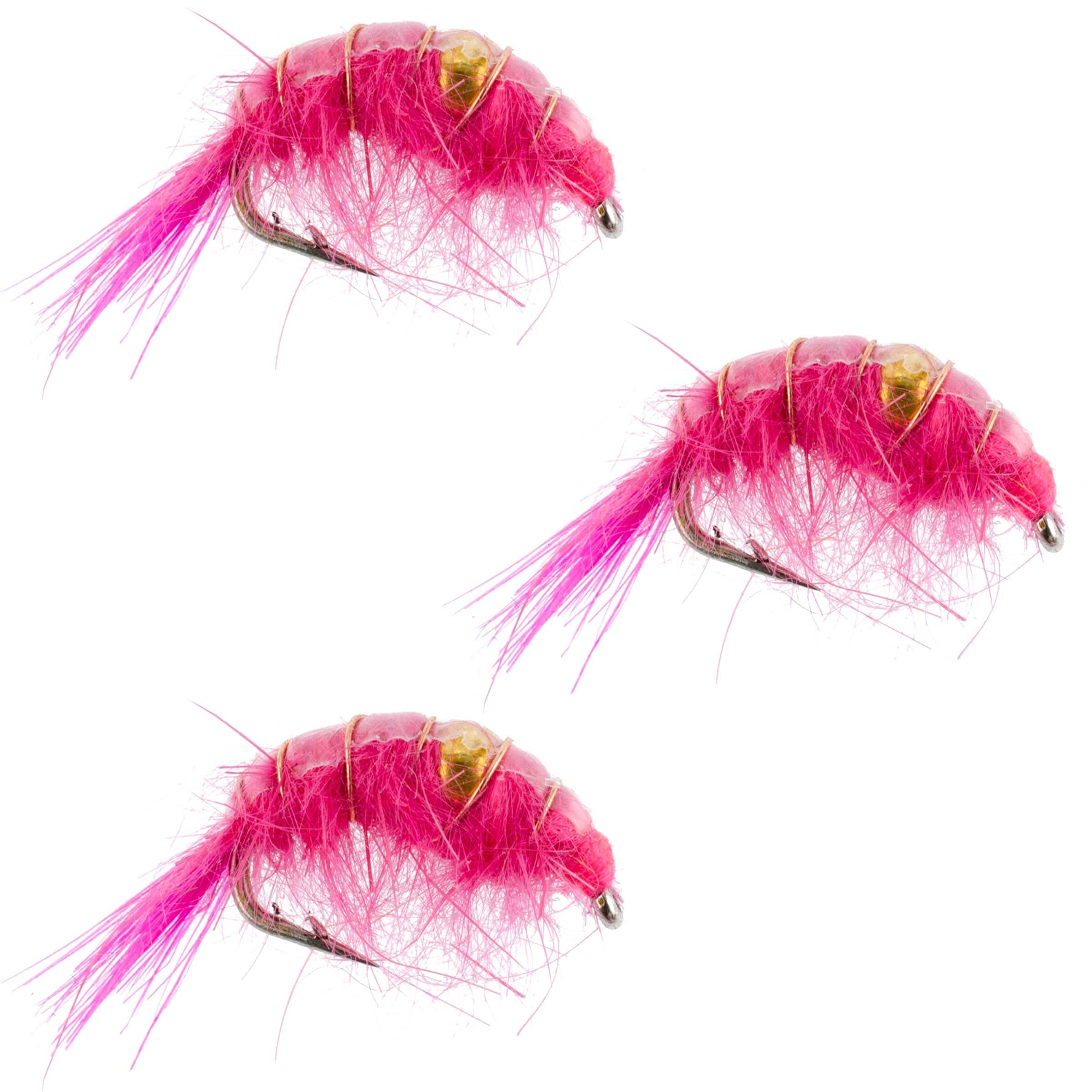 The Fly Fishing Place Trout Wet Flies 3 Pack Pink Beaded Shrimp Scud Pattern - Size 12 - Tailwater Lake Fly Fishing Nymph Flies