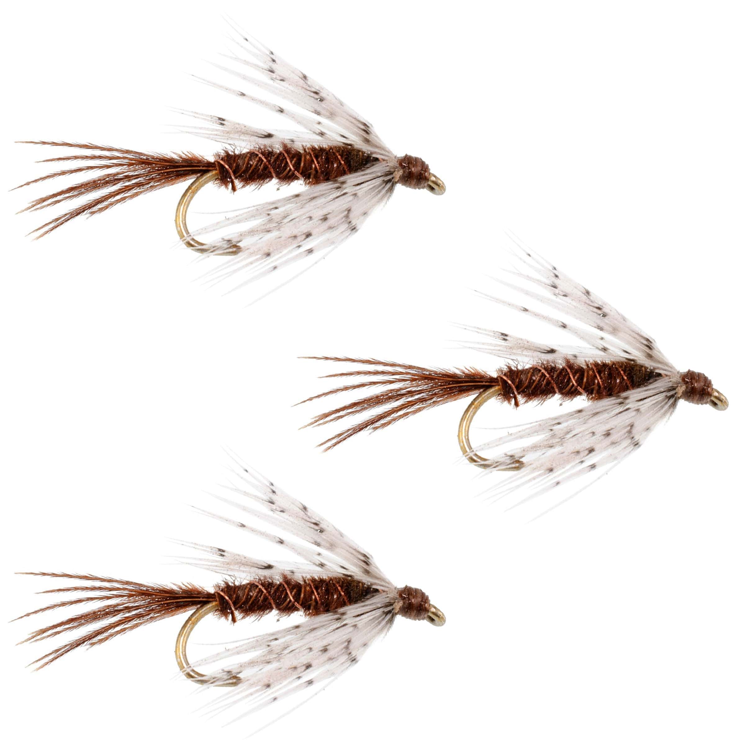 The Fly Fishing Place Trout Wet Flies 3 Pack Soft Hackle Partridge and Pheasant Tail Fly Fishing Wet Flies - Hook Size 112