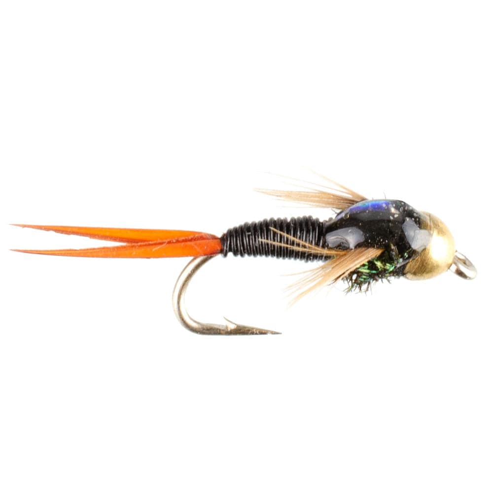 The Fly Fishing Place Trout Wet Flies Bead Head Black Copper John Nymph Fly Fishing Flies - Set of 6 Flies Hook Size 18