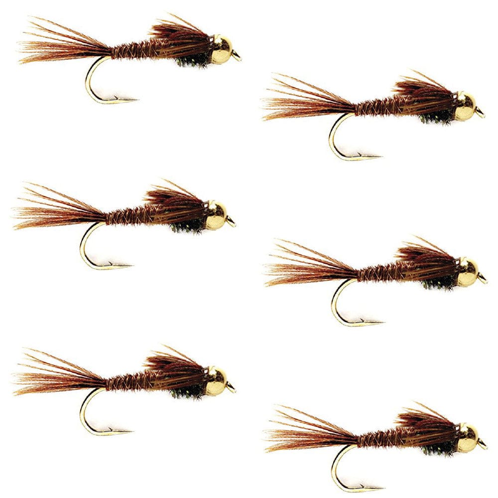 The Fly Fishing Place Trout Wet Flies Bead Head Pheasant Tail Nymph Fly Fishing Flies - 6 Flies Hook Size 12