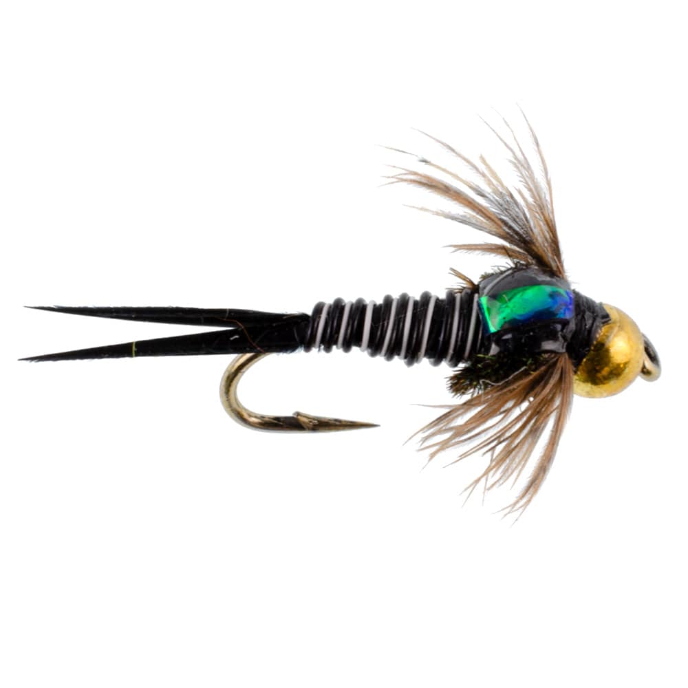 The Fly Fishing Place Trout Wet Flies Bead Head Zebra Copper John Nymph Fly Fishing Flies - Set of 6 Flies Hook Size 14