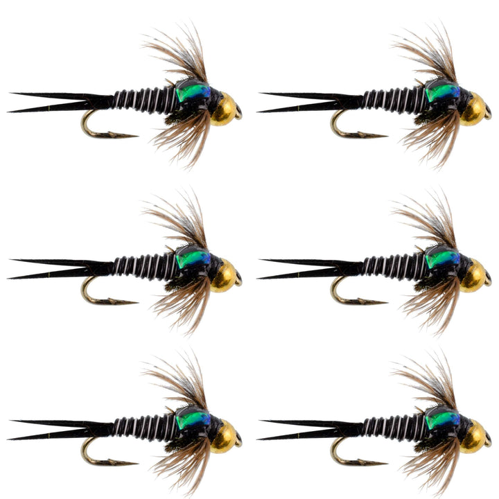 arkie fishing lures Arkie Lures Bp-112 Assorted Fishing Kit
