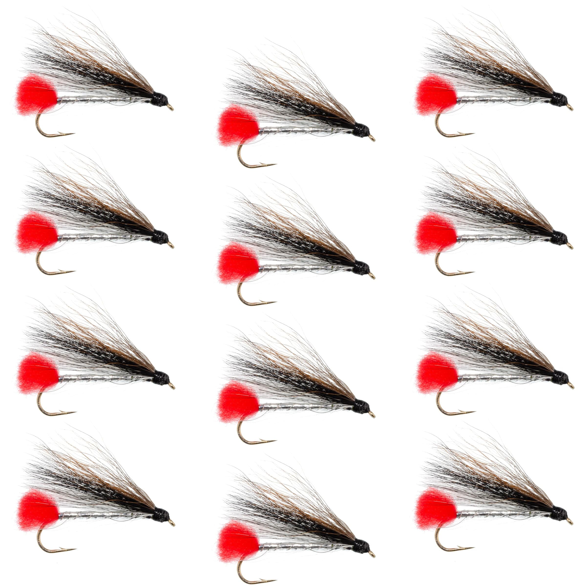 The Fly Fishing Place Trout Wet Flies Black Nose Dace Classic Streamer Flies - Set of 12 - Hook Size 4