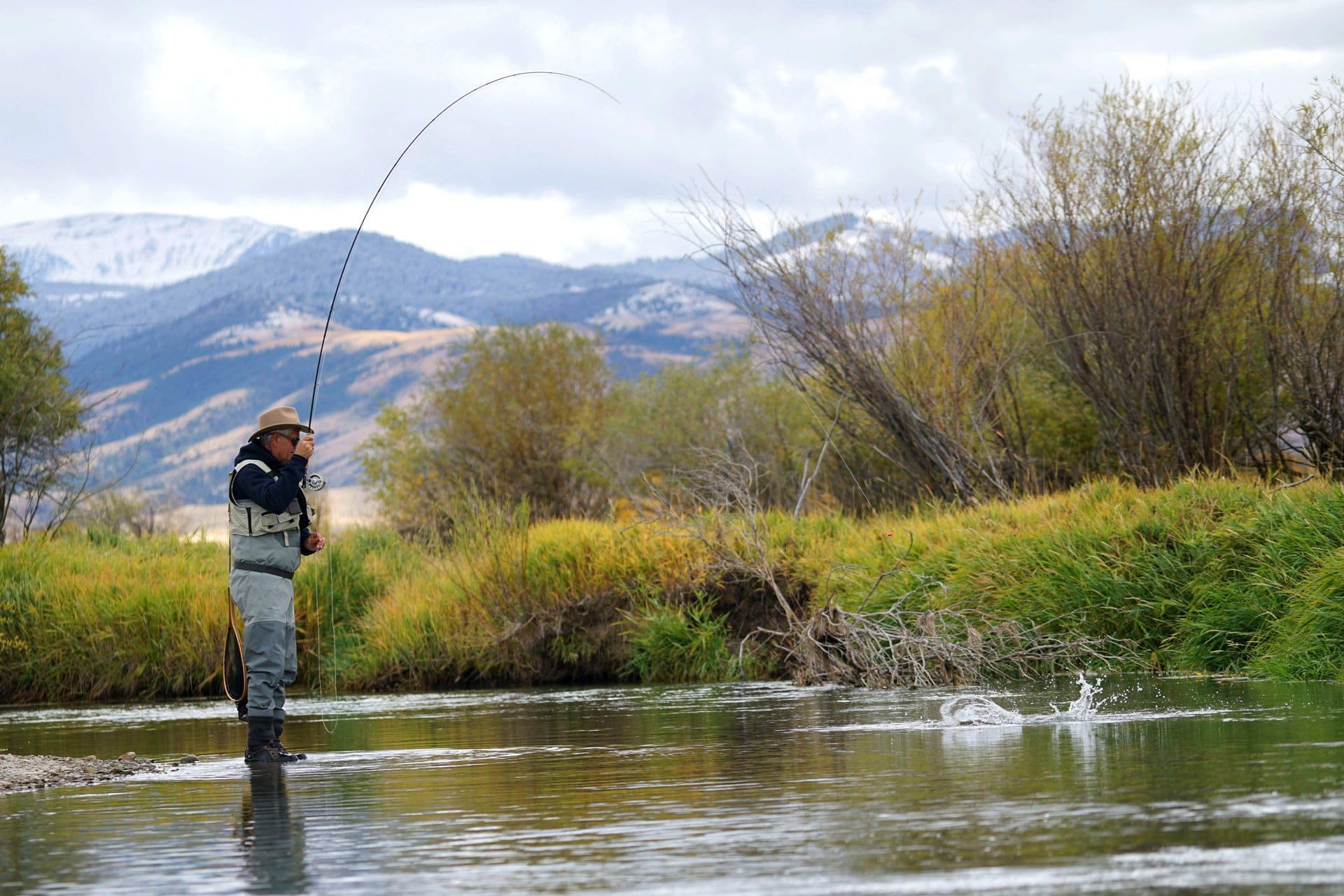 The Fly Fishing Place Trout Wet Flies Black Zebra Midge Assortment 3 Each of 3 Sizes 14, 16, 18 - Tailwater Fly Fishing Flies Collection