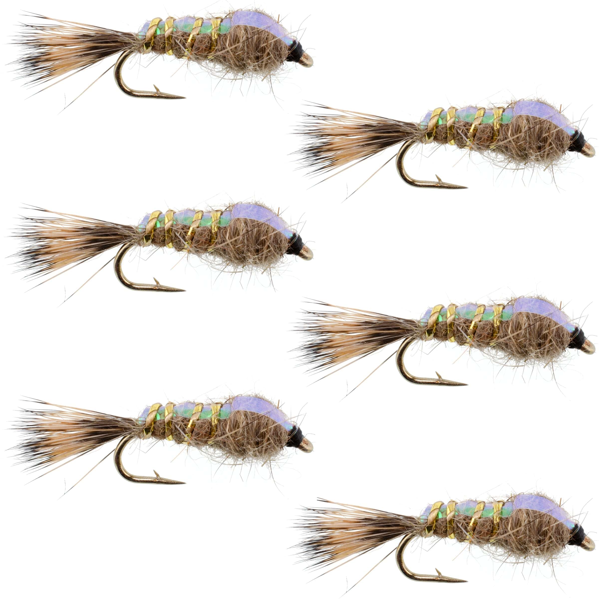 The Fly Fishing Place Trout Wet Flies Classic Weighted Flashback Gold Ribbed Hares Ear Nymph - Set of 6 Flies - Size 12