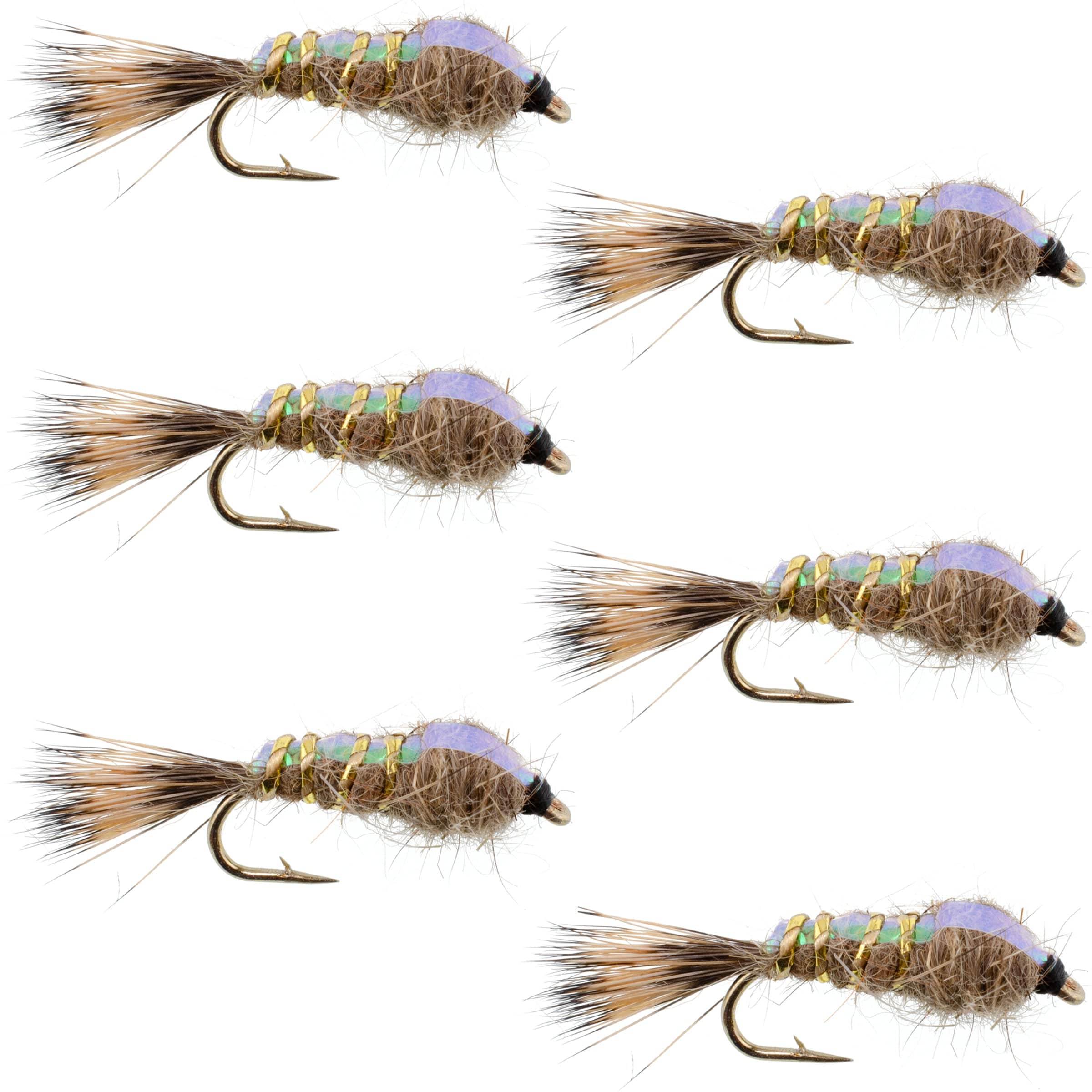 The Fly Fishing Place Trout Wet Flies Classic Weighted Flashback Gold Ribbed Hares Ear Nymph - Set of 6 Flies - Size 16