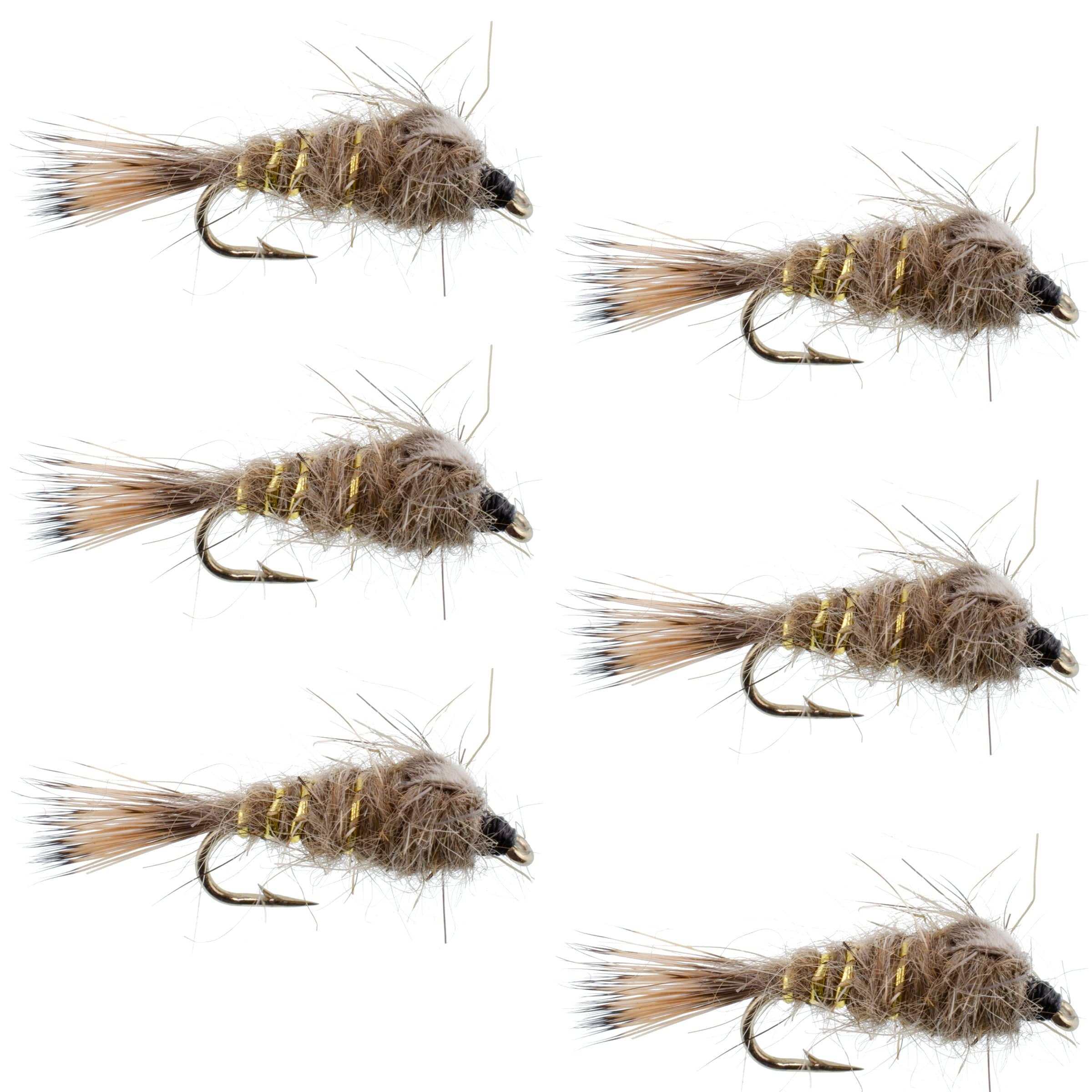 The Fly Fishing Place Trout Wet Flies Classic Weighted Gold Ribbed Hares Ear Nymph - Set of 6 Flies - Size 14