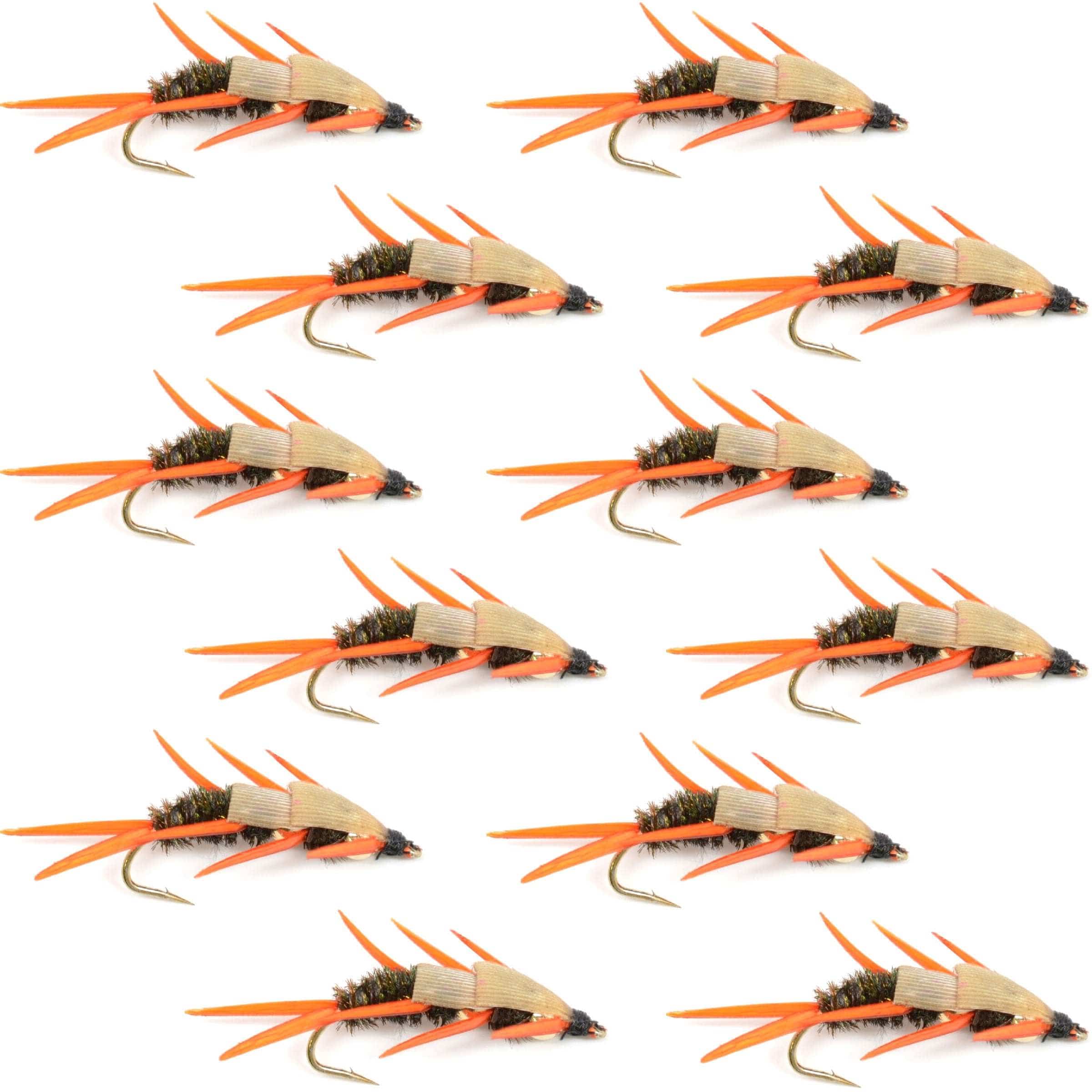 The Fly Fishing Place Trout Wet Flies Double Bead Peacock Stonefly Nymph with Amber Biot Legs Fly Fishing Flies - 1 Dozen Flies Hook Size 10