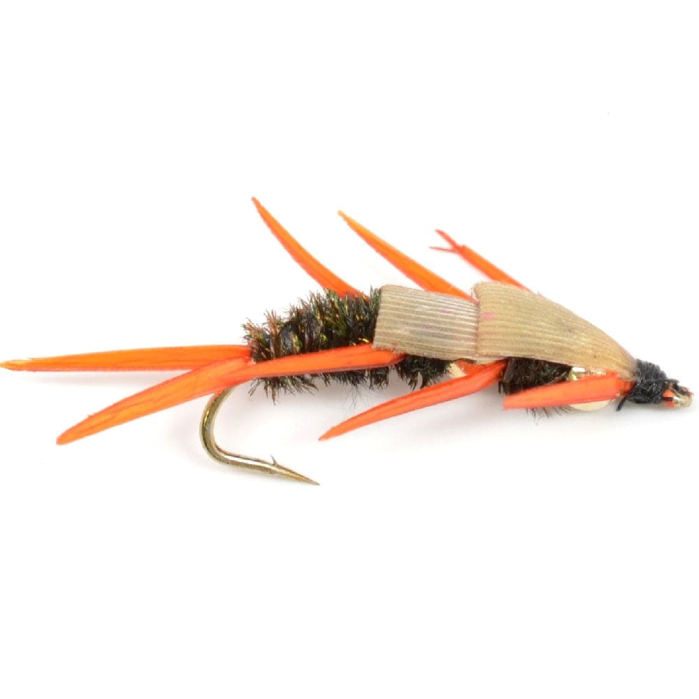 The Fly Fishing Place Trout Wet Flies Double Bead Peacock Stonefly Nymph with Amber Biot Legs Fly Fishing Flies - 1 Dozen Flies Hook Size 8