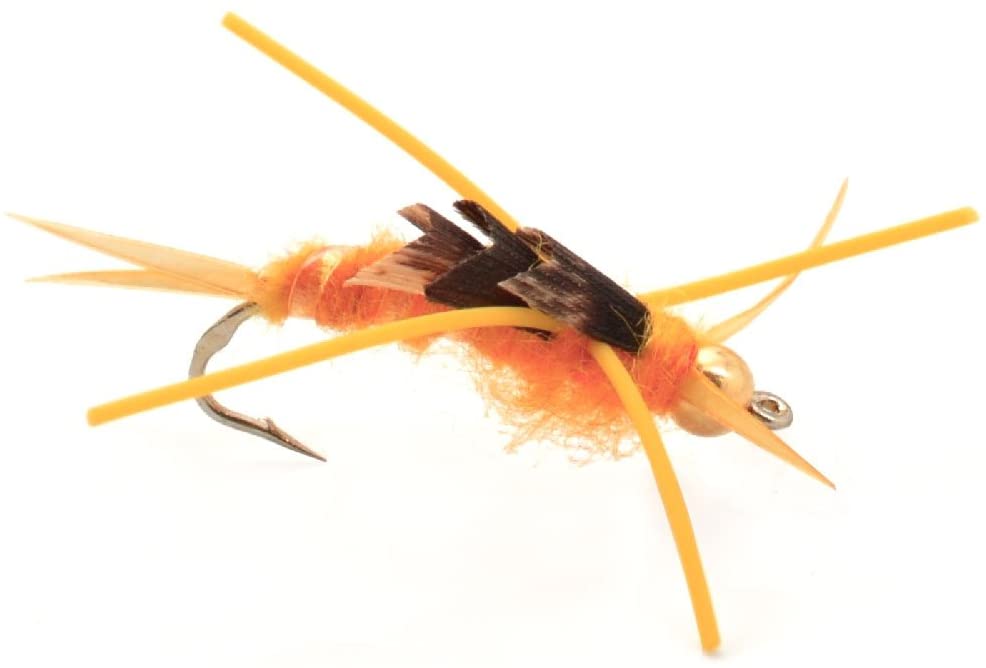 The Fly Fishing Place Trout Wet Flies Gold Bead Kaufmann's Golden Stone Fly Nymph Rubber Legs - 1 Dozen Flies Hook Size 10