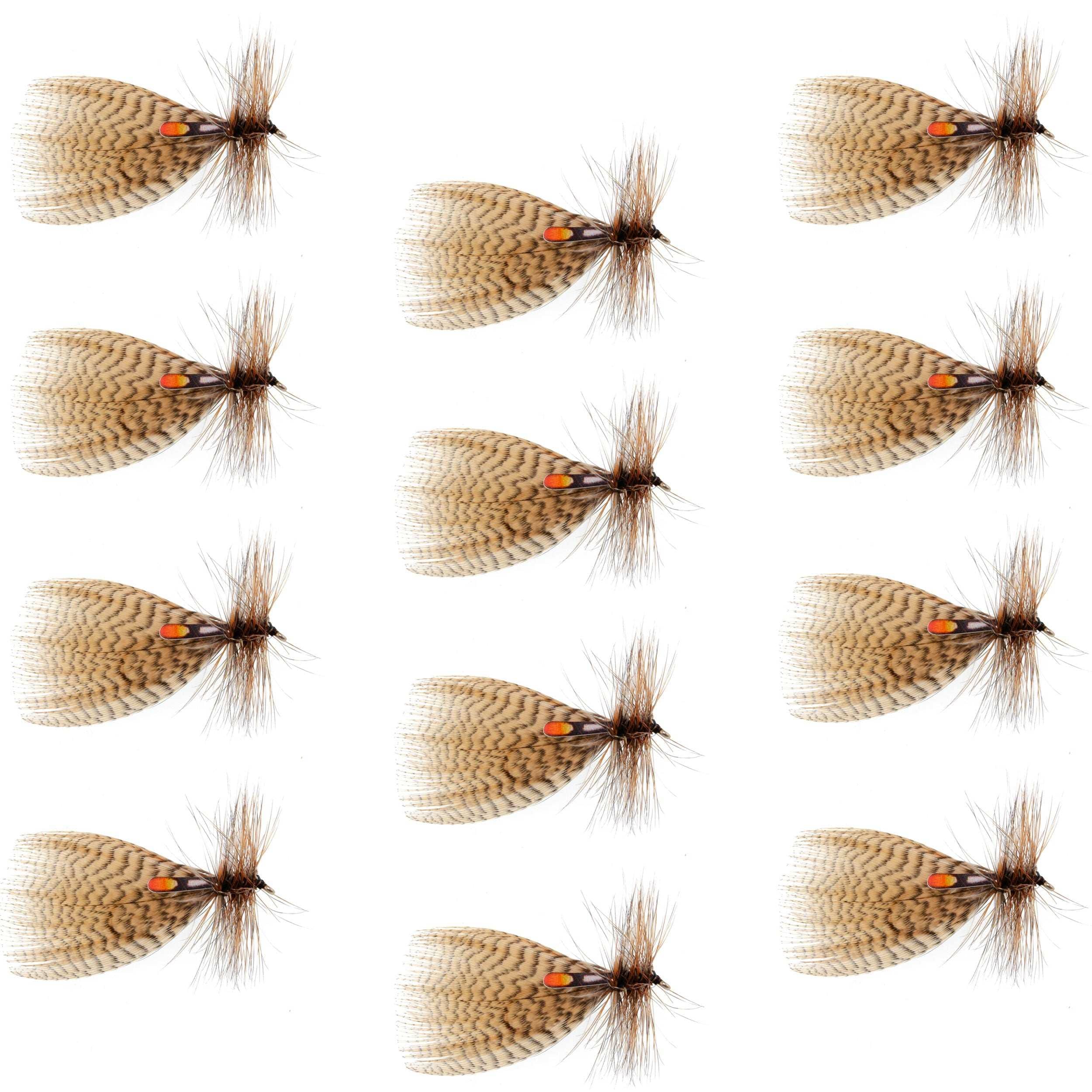 The Fly Fishing Place Trout Wet Flies Hornberg Special Trout and Bass Streamer or Dry Fly - 12 Flies - Hook Size 8