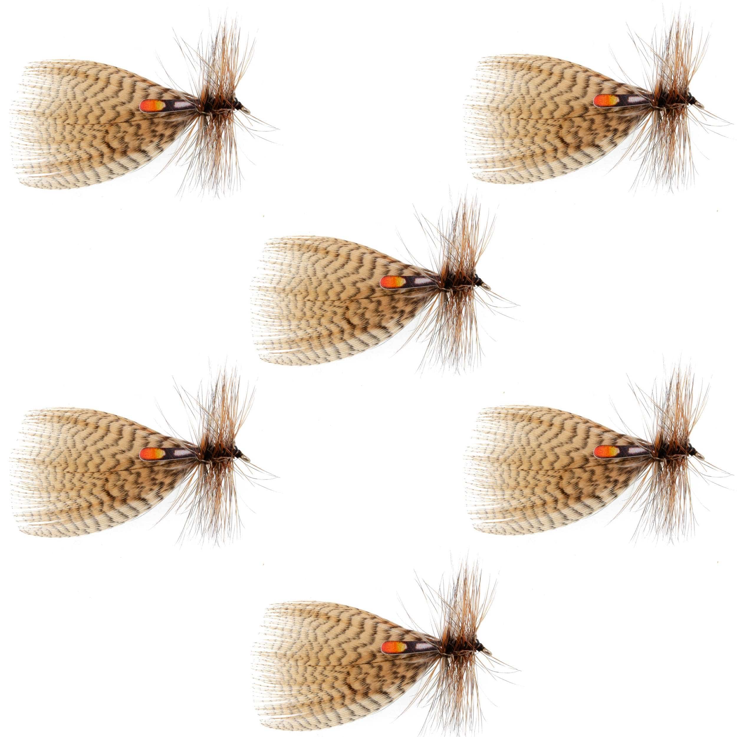 The Fly Fishing Place Trout Wet Flies Hornberg Special Trout and Bass Streamer or Dry Fly - 6 Flies - Hook Size 10