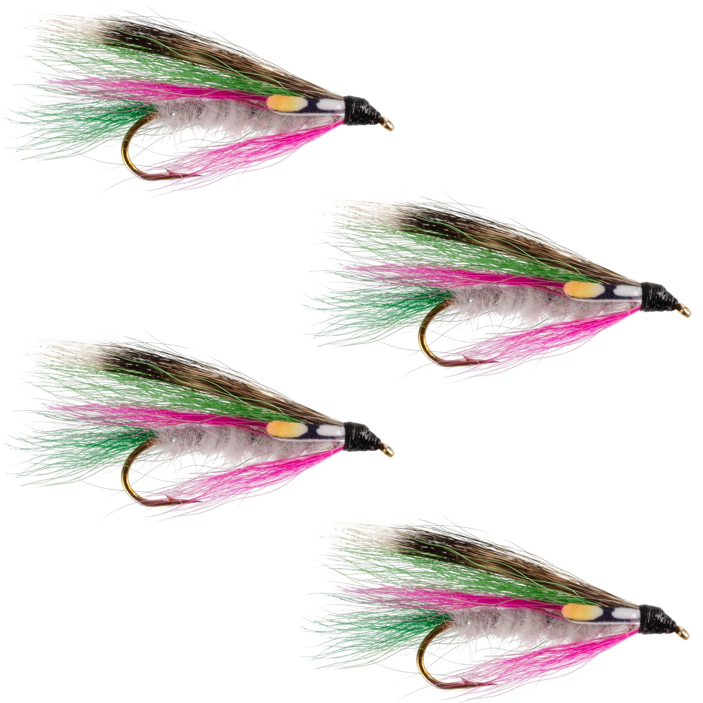 The Fly Fishing Place Trout Wet Flies Little Rainbow Trout Classic Streamer Flies - Set of 4- Hook Size 4