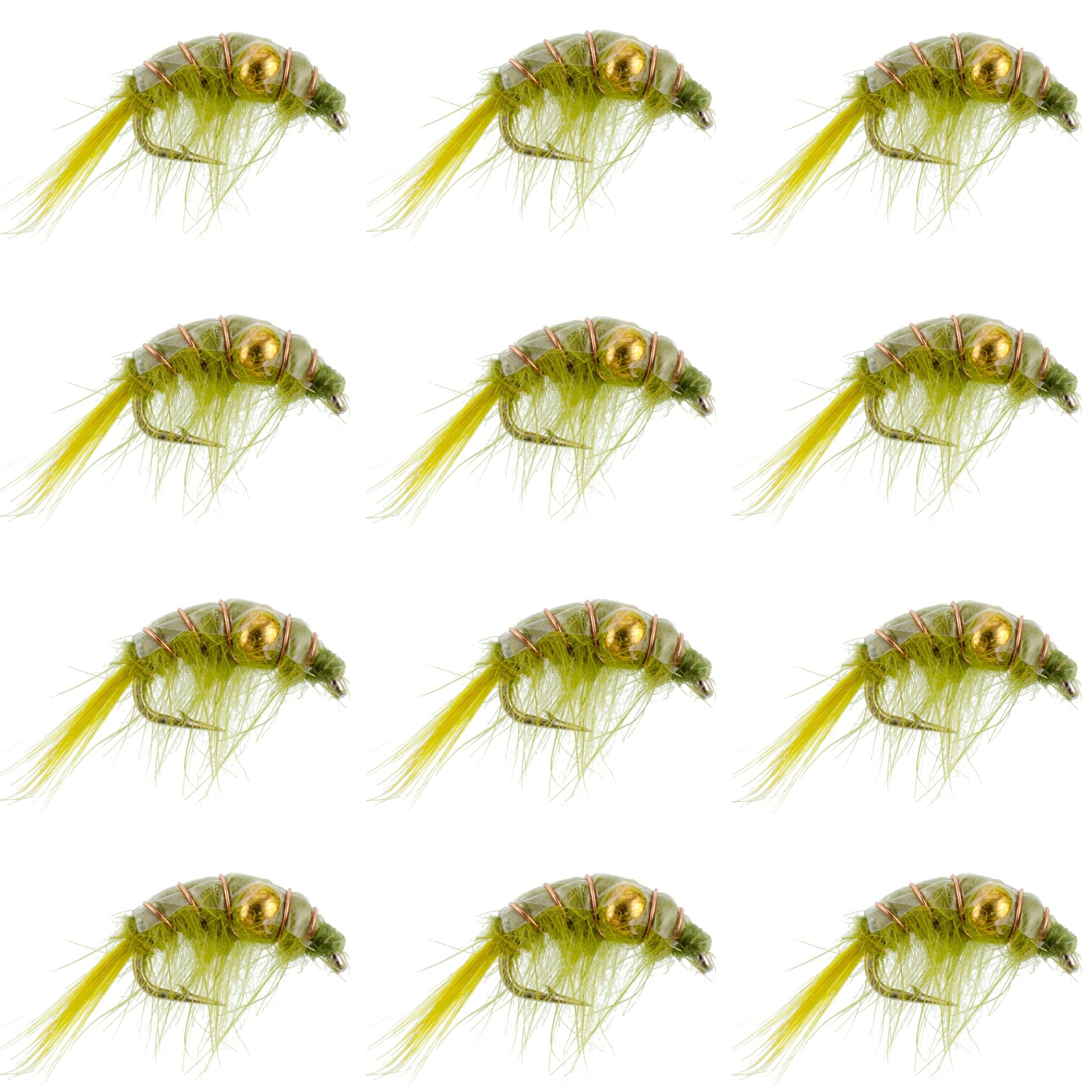 The Fly Fishing Place Trout Wet Flies Olive Beaded Shrimp Scud Pattern - 1 Dozen Size 12 - Tailwater Lake Fly Fishing Nymph Flies