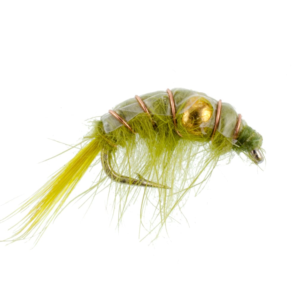 The Fly Fishing Place Trout Wet Flies Olive Beaded Shrimp Scud Pattern - 1 Dozen Size 12 - Tailwater Lake Fly Fishing Nymph Flies