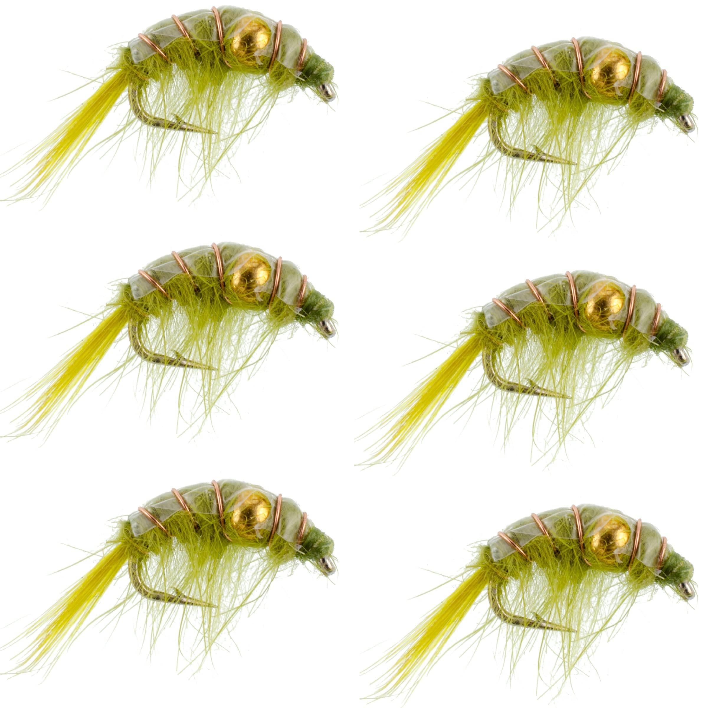 The Fly Fishing Place Trout Wet Flies Olive Beaded Shrimp Scud Pattern - 6 Flies - Size 12 - Tailwater Lake Fly Fishing Nymph Flies