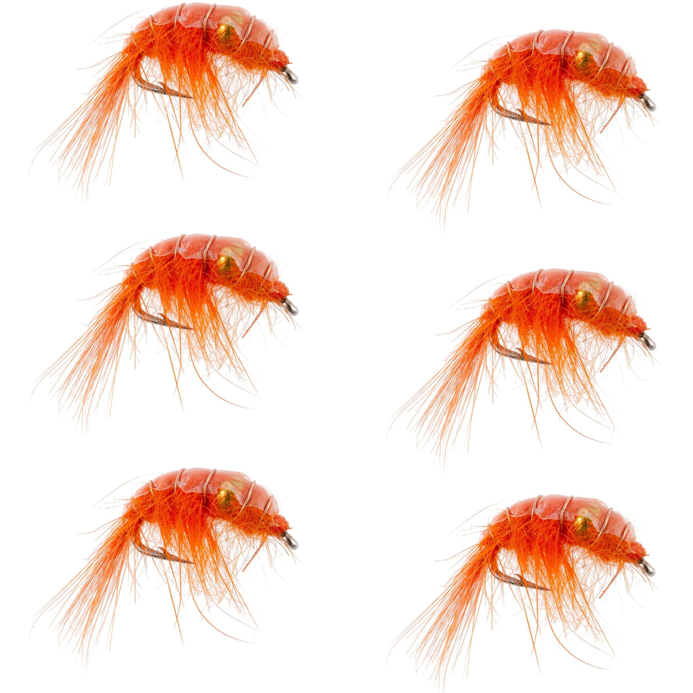 The Fly Fishing Place Trout Wet Flies Orange Beaded Shrimp Scud Pattern - 6 Flies - Size 12 - Tailwater Lake Fly Fishing Nymph Flies