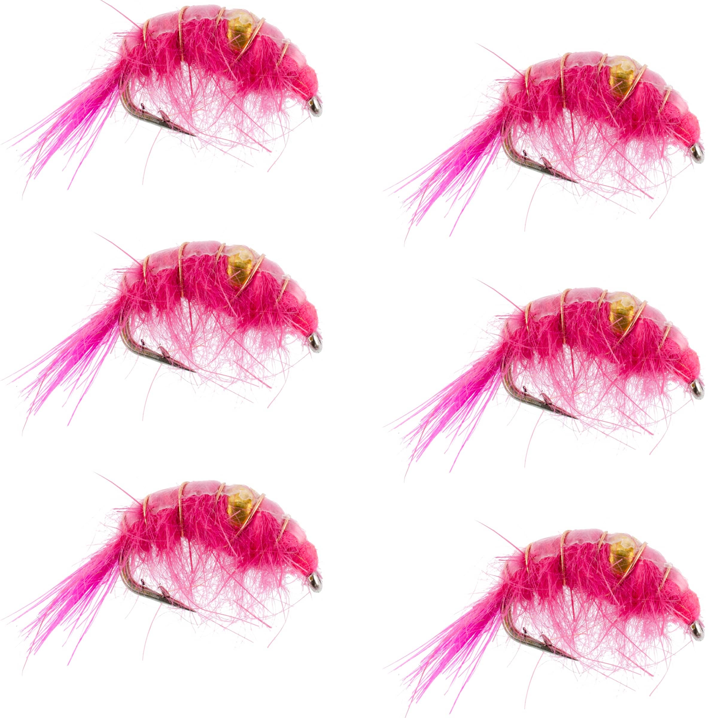 The Fly Fishing Place Trout Wet Flies Pink Beaded Shrimp Scud Pattern - 6 Flies - Size 12 - Tailwater Lake Fly Fishing Nymph Flies