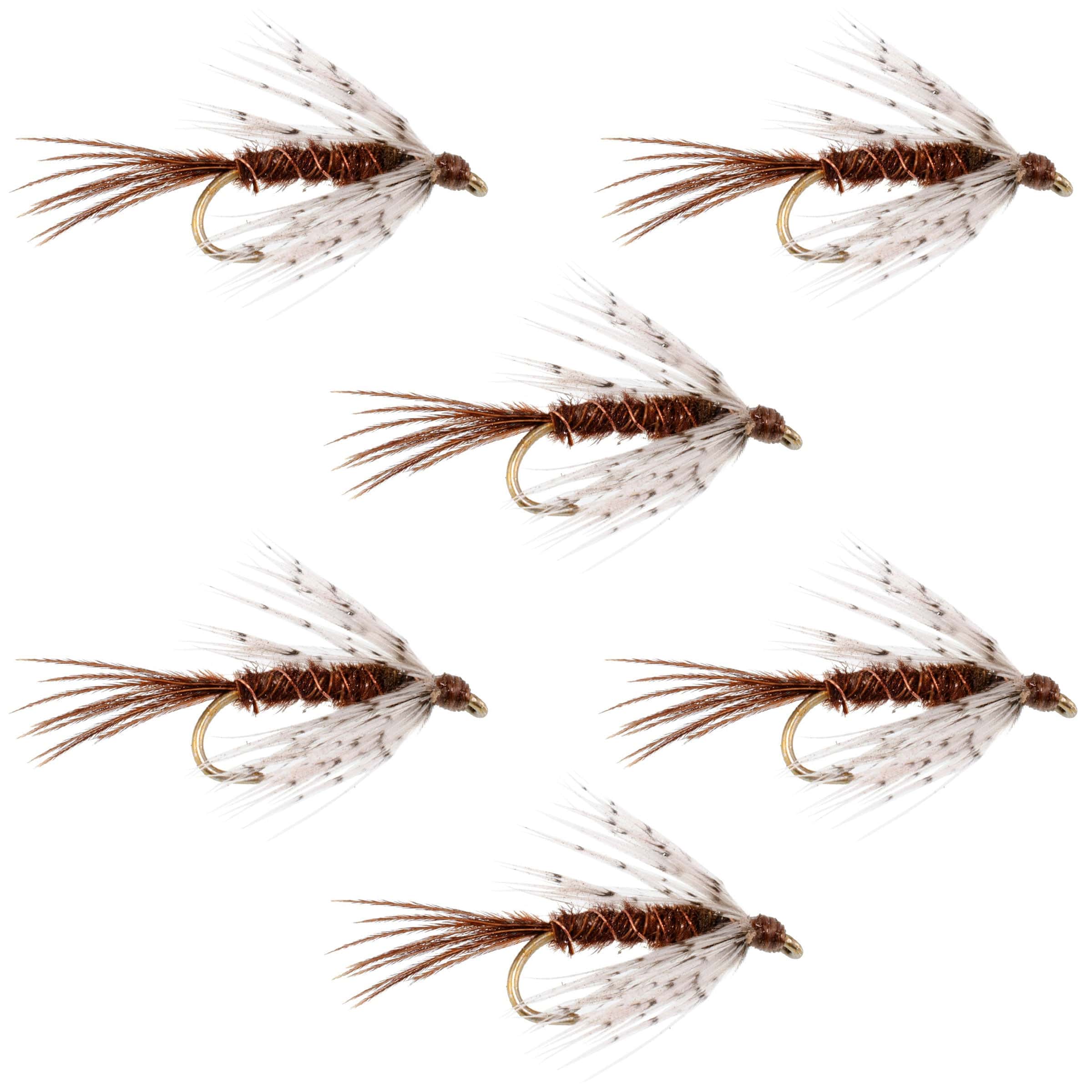 The Fly Fishing Place Trout Wet Flies Soft Hackle Partridge and Pheasant Tail Fly Fishing Wet Flies - 6 Flies Hook Size 12